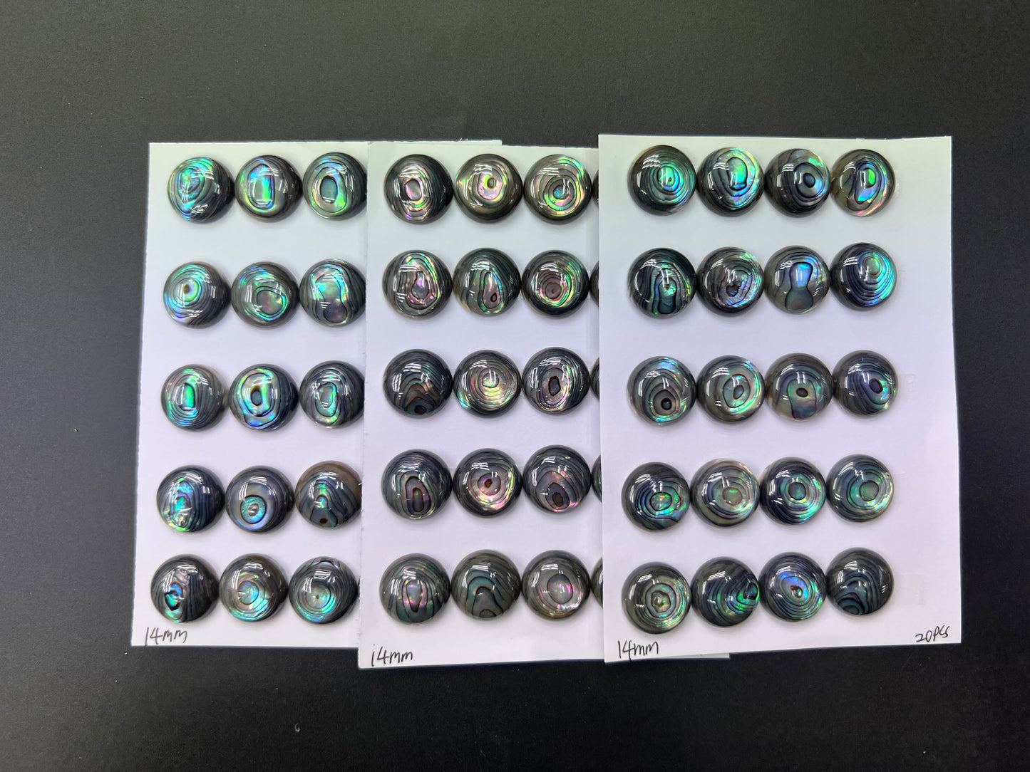 Natural Abalone Shell Round Cab 14mm 16mm