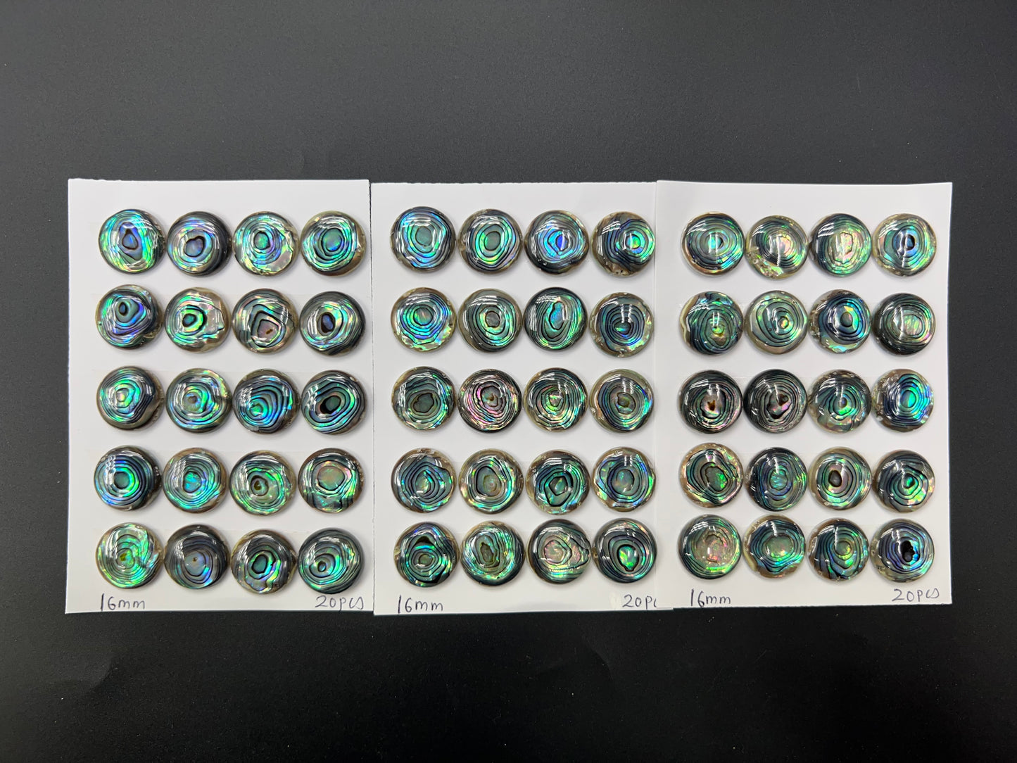 Natural Abalone Shell Round Cab 14mm 16mm