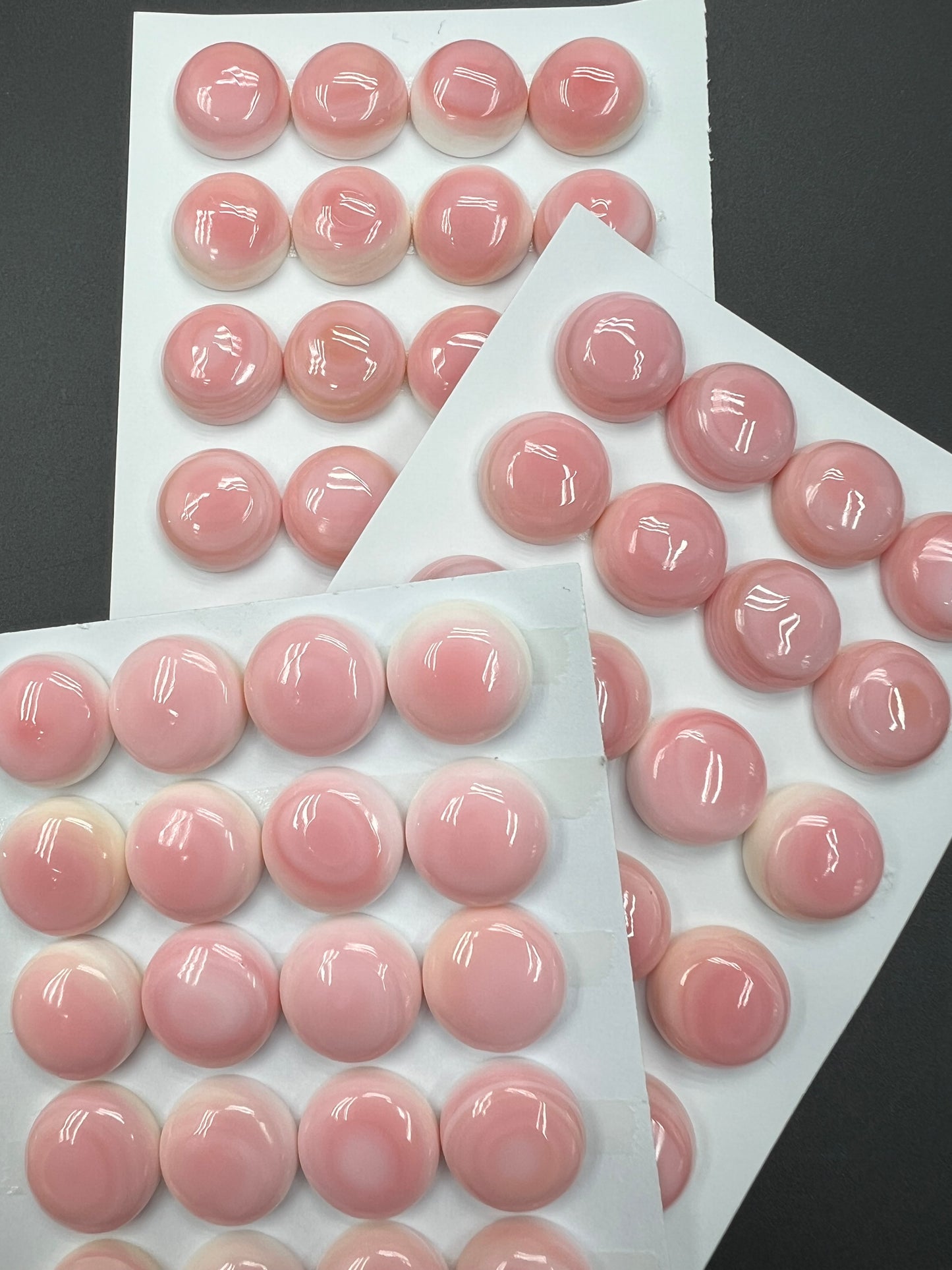 Pink Queen Conch Shell Round Cabs 15-18mm