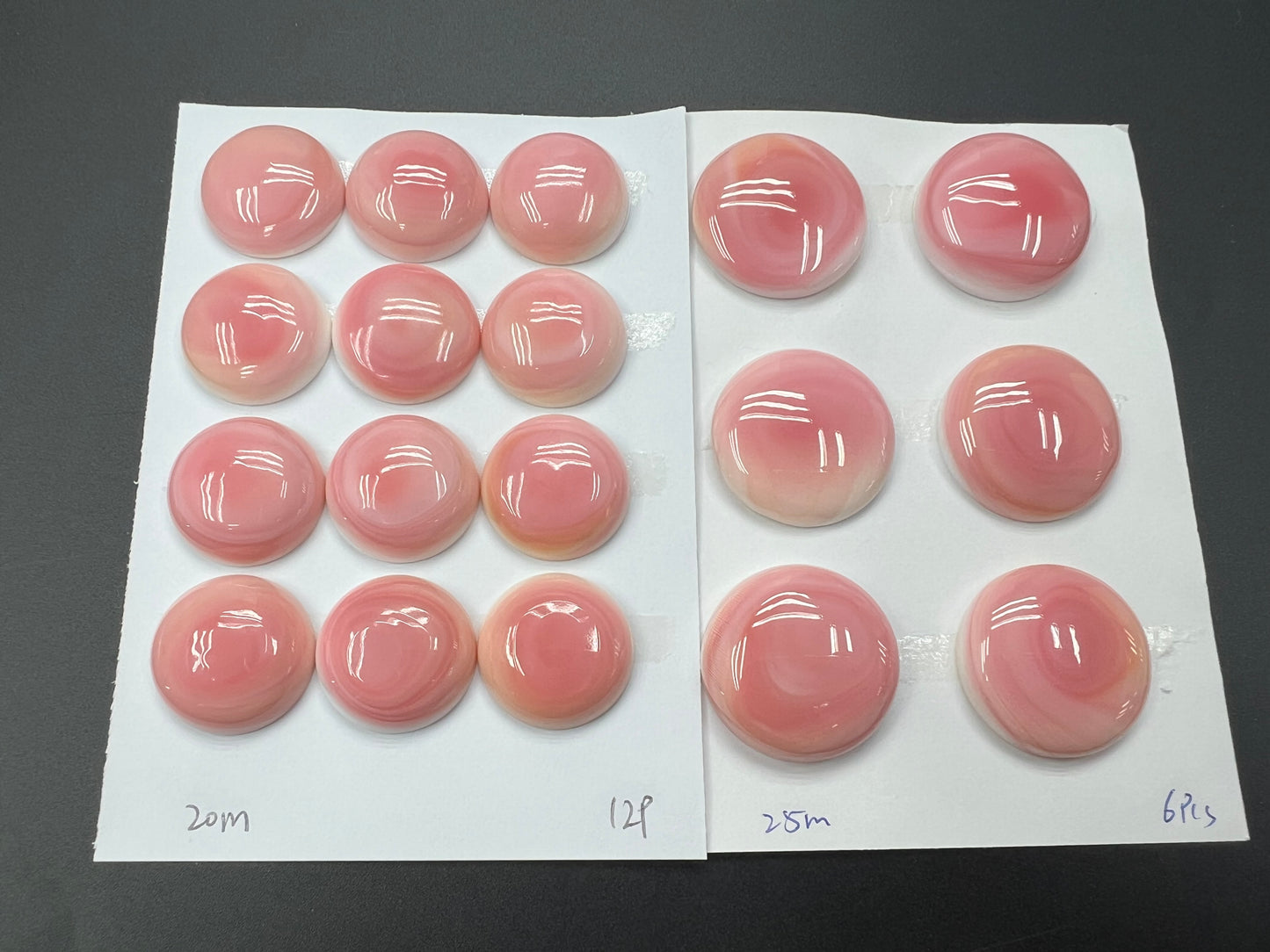 Pink Queen Conch Shell Round Cabs 20-25mm