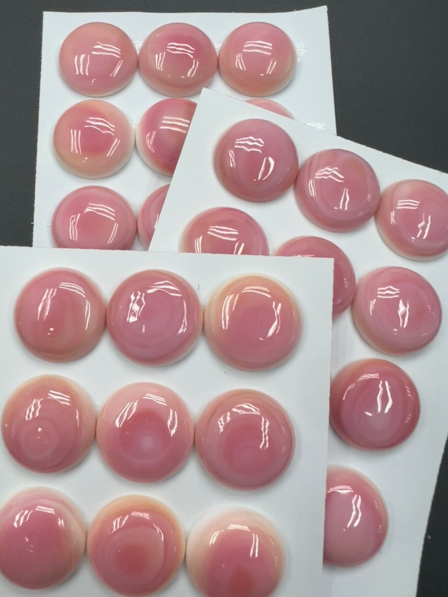 Pink Queen Conch Shell Round Cabs 20-25mm