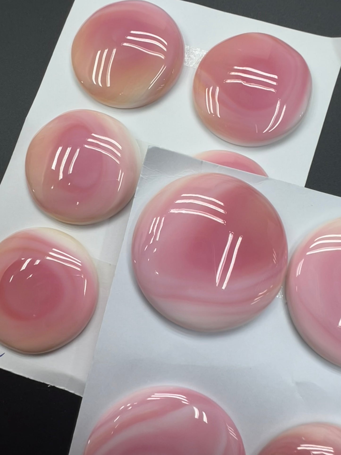 Pink Conch Shell Round Cabs 30-35mm