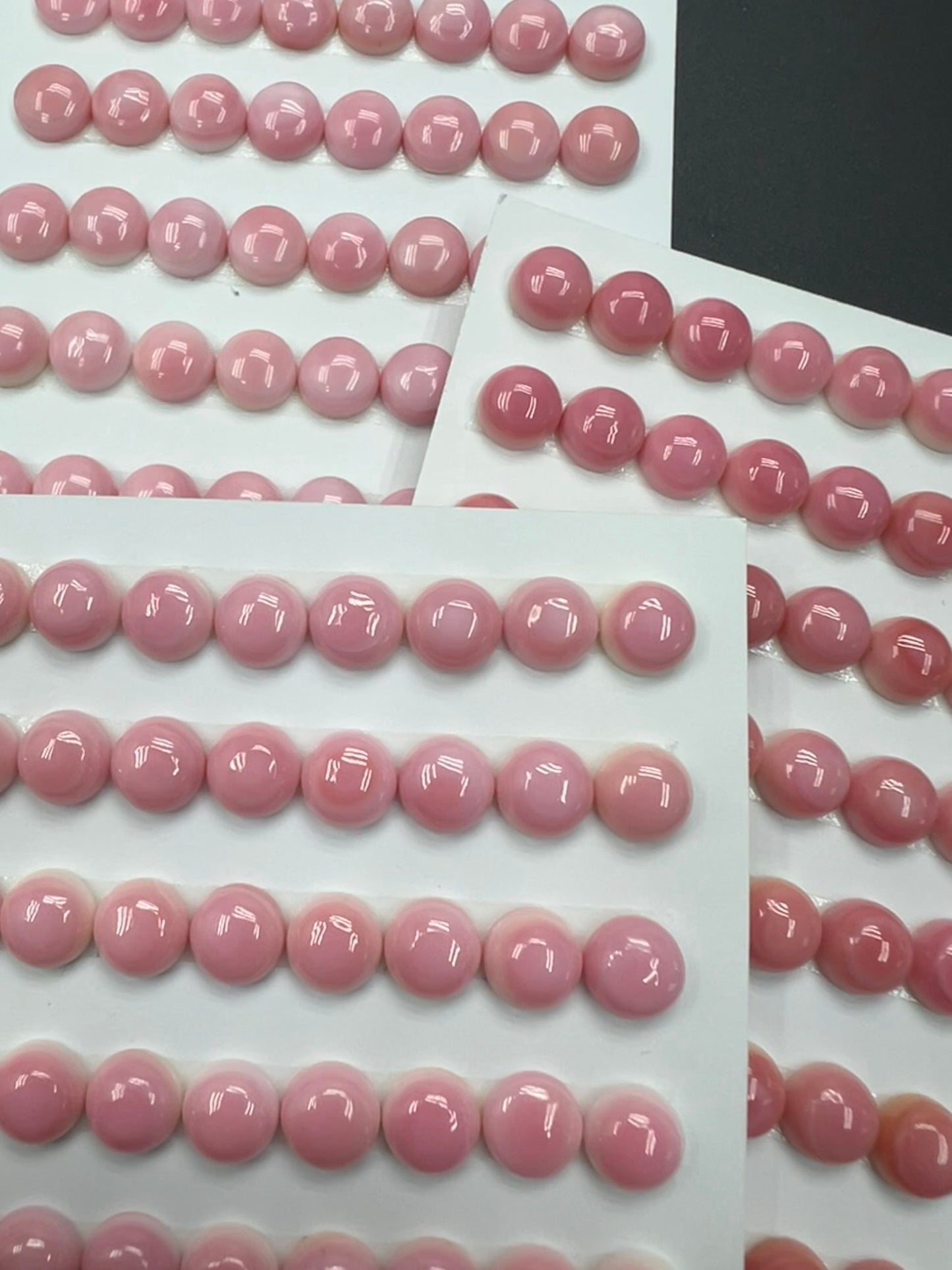 Pink Conch Shell Round Cabs 8-12mm