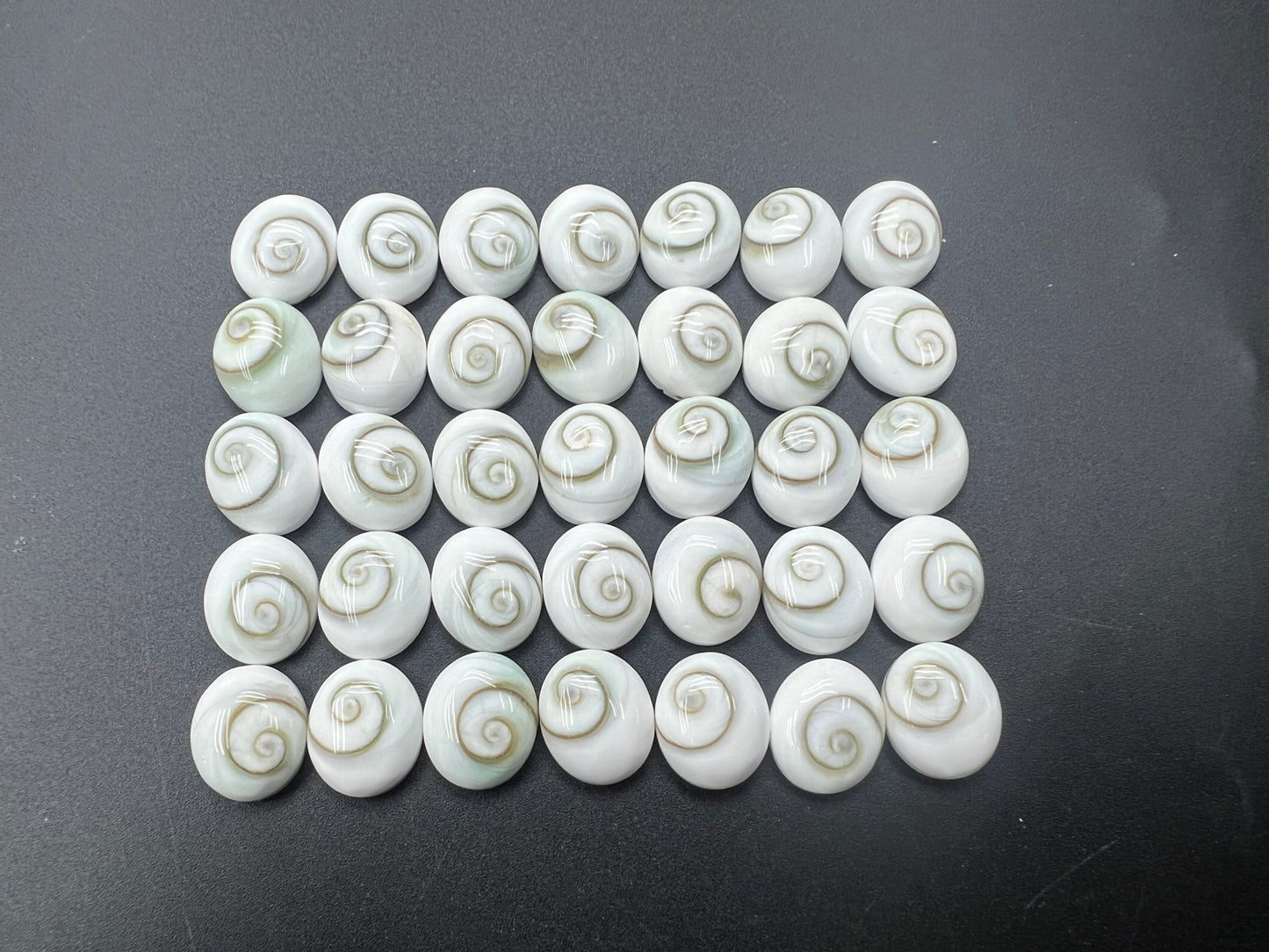 Shiva Eyes Shell Oval Cab 10x12mm
