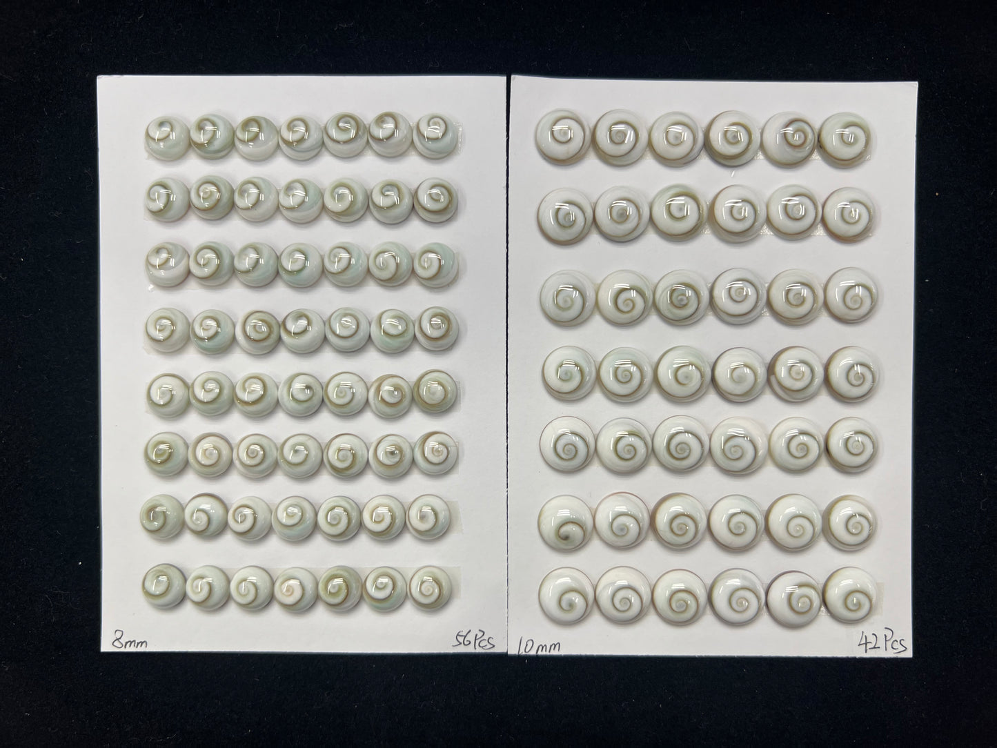 Shiva Eyes Shell Round Cab 8mm 10mm