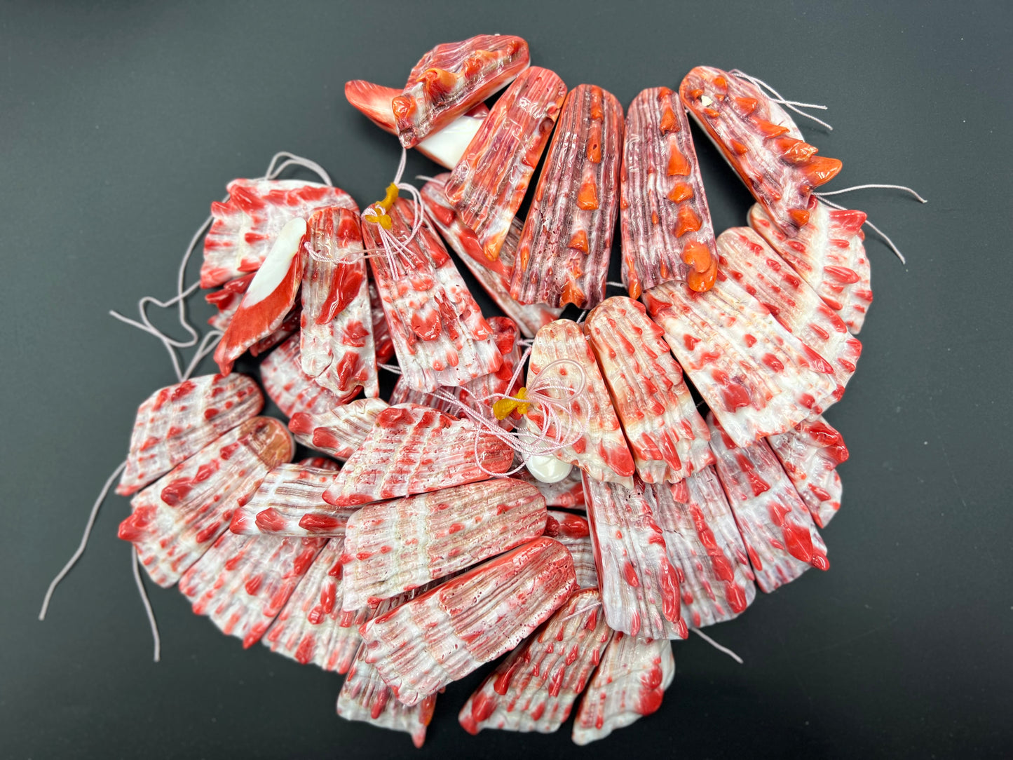 Spiny Oyster Graduated Druzy Loose Piece (Orange/Red)
