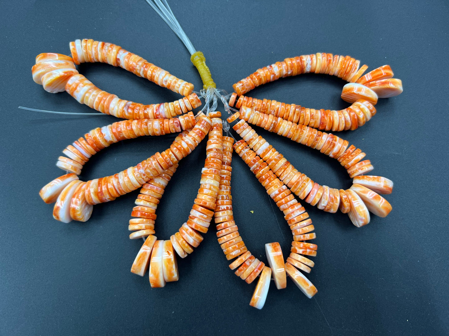 (Red/ Orange) Spiny Oyster Graduated Heishi 6-16mm