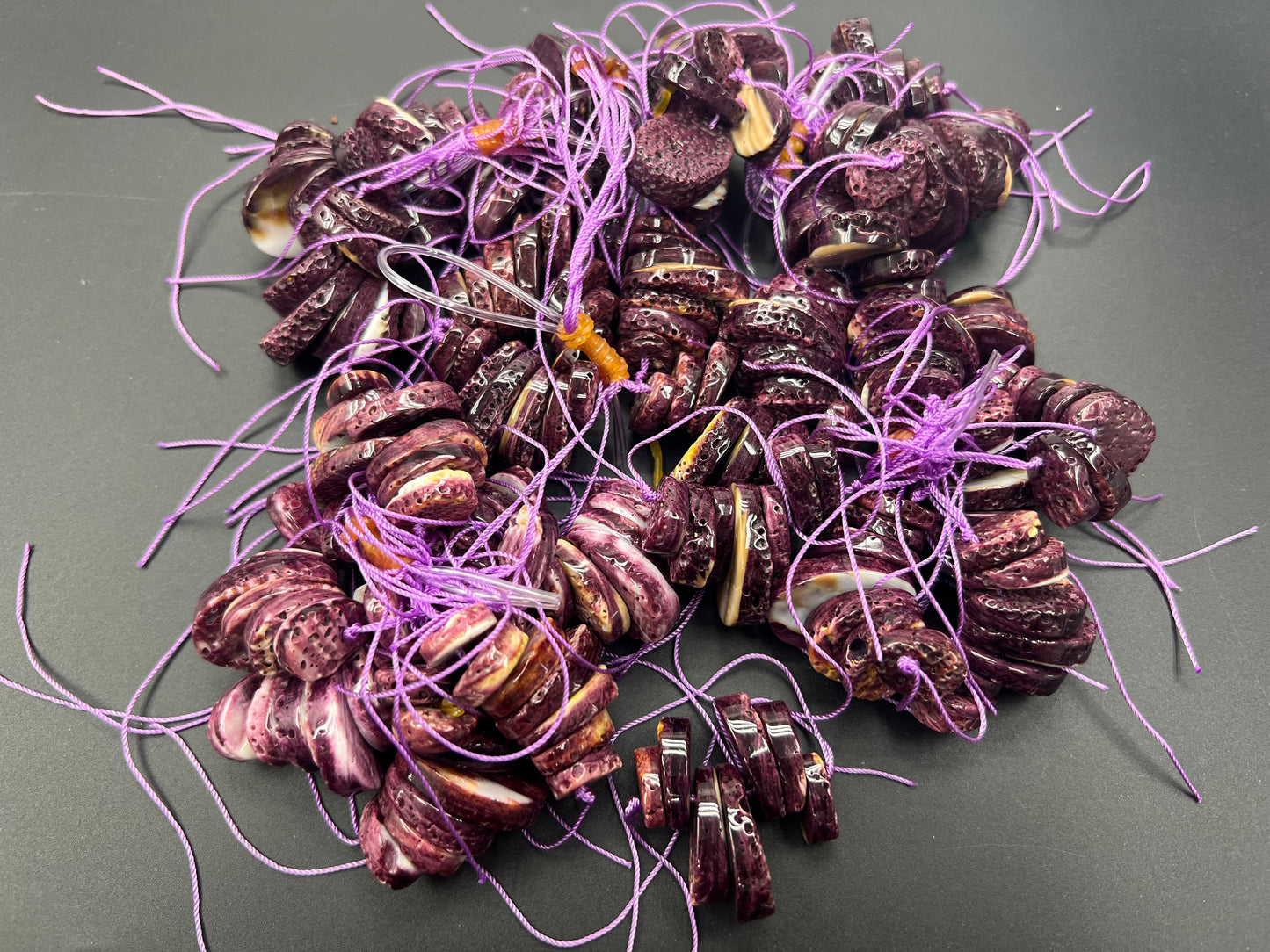 Spiny Oyster Jacla Coin Set (Purple/Orange/Red)