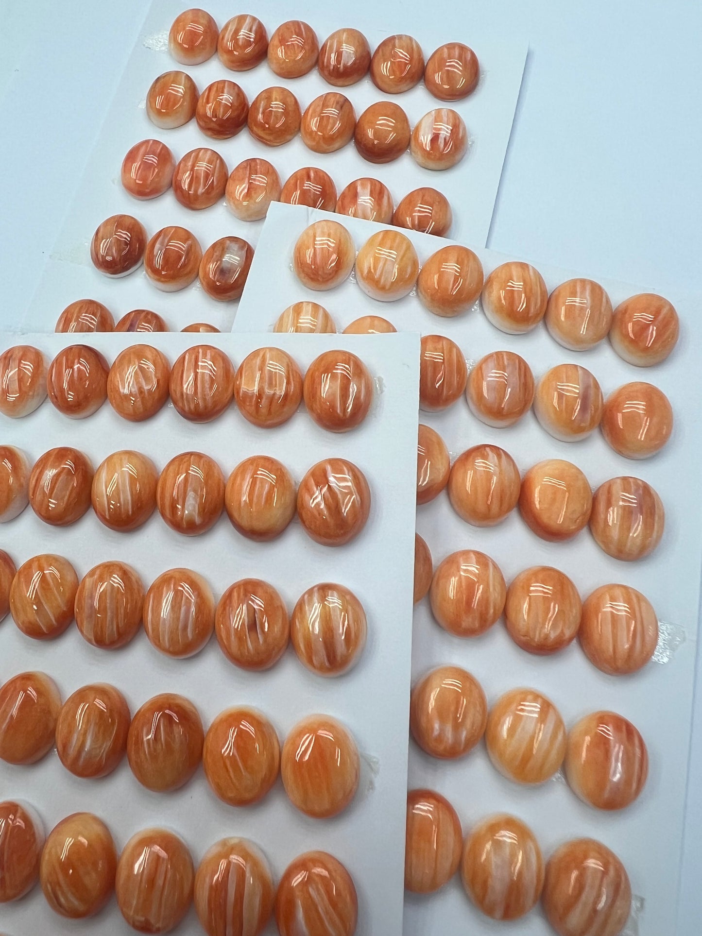 Orange Natural Spiny Oyster Shell Oval Cab 10x12mm ~ 10x20mm