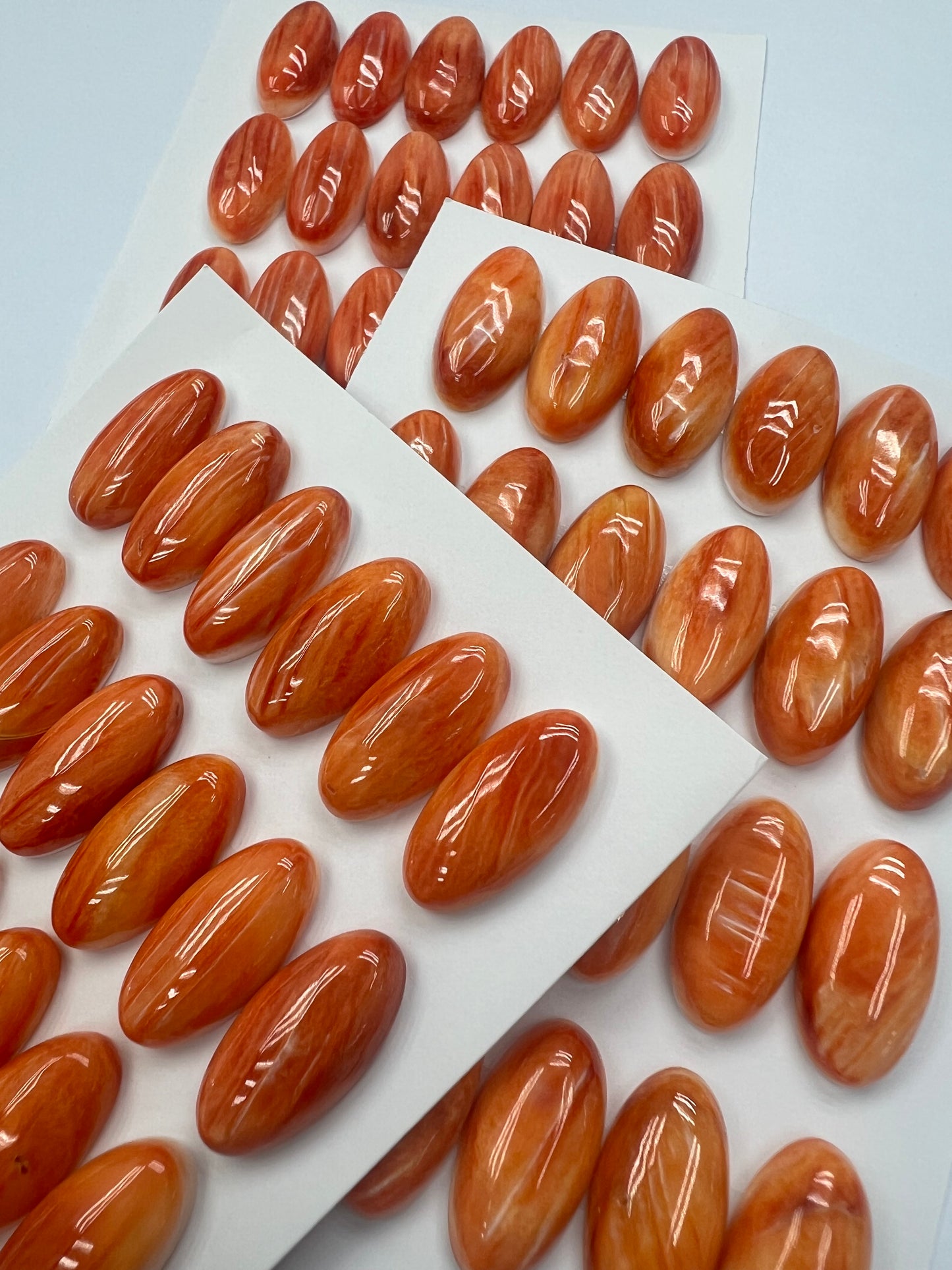 Orange Natural Spiny Oyster Shell Oval Cab 10x12mm ~ 10x20mm