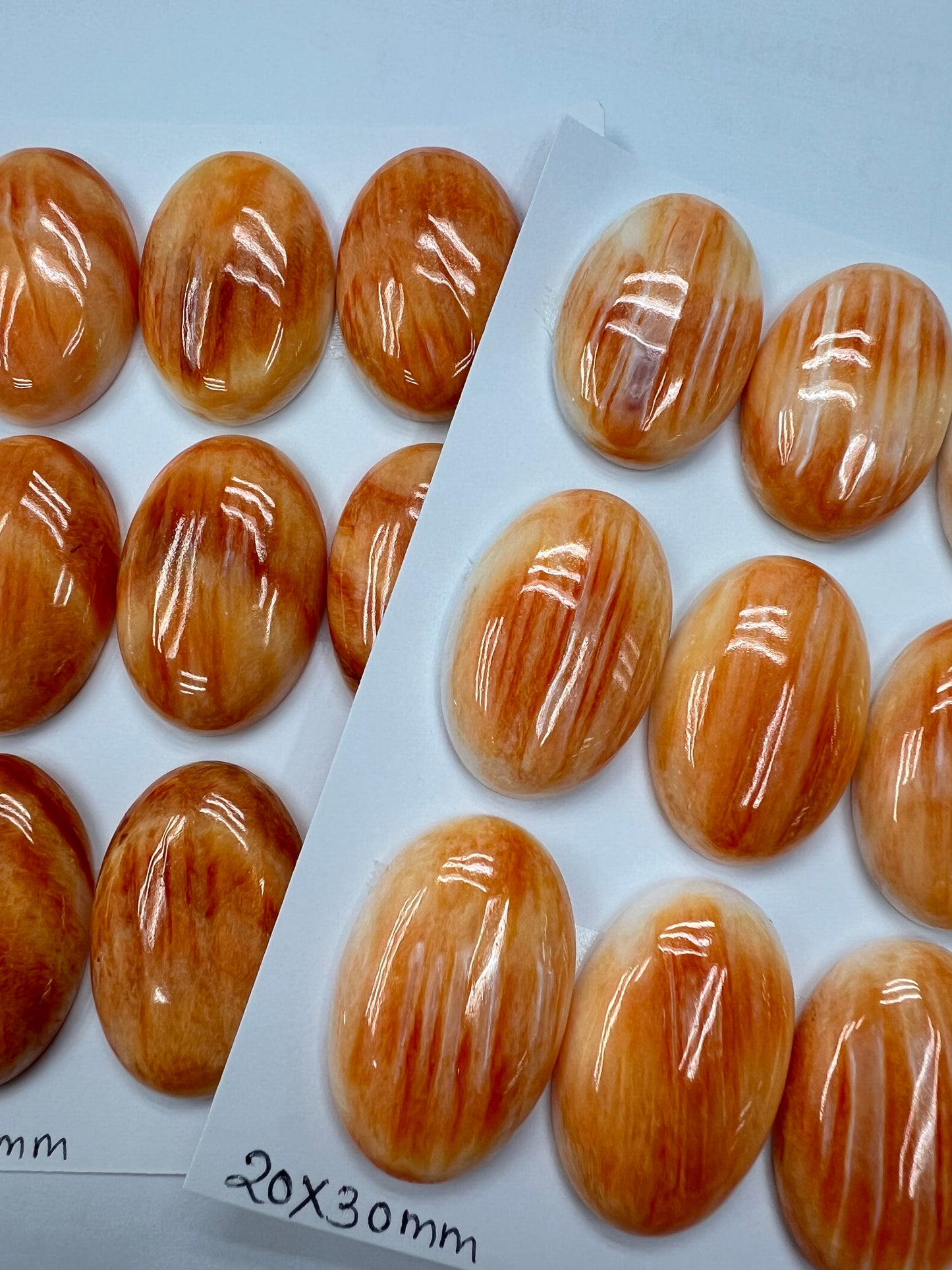 Orange Natural Spiny Oyster Shell Oval Cab 20x30mm ~ 30x40mm