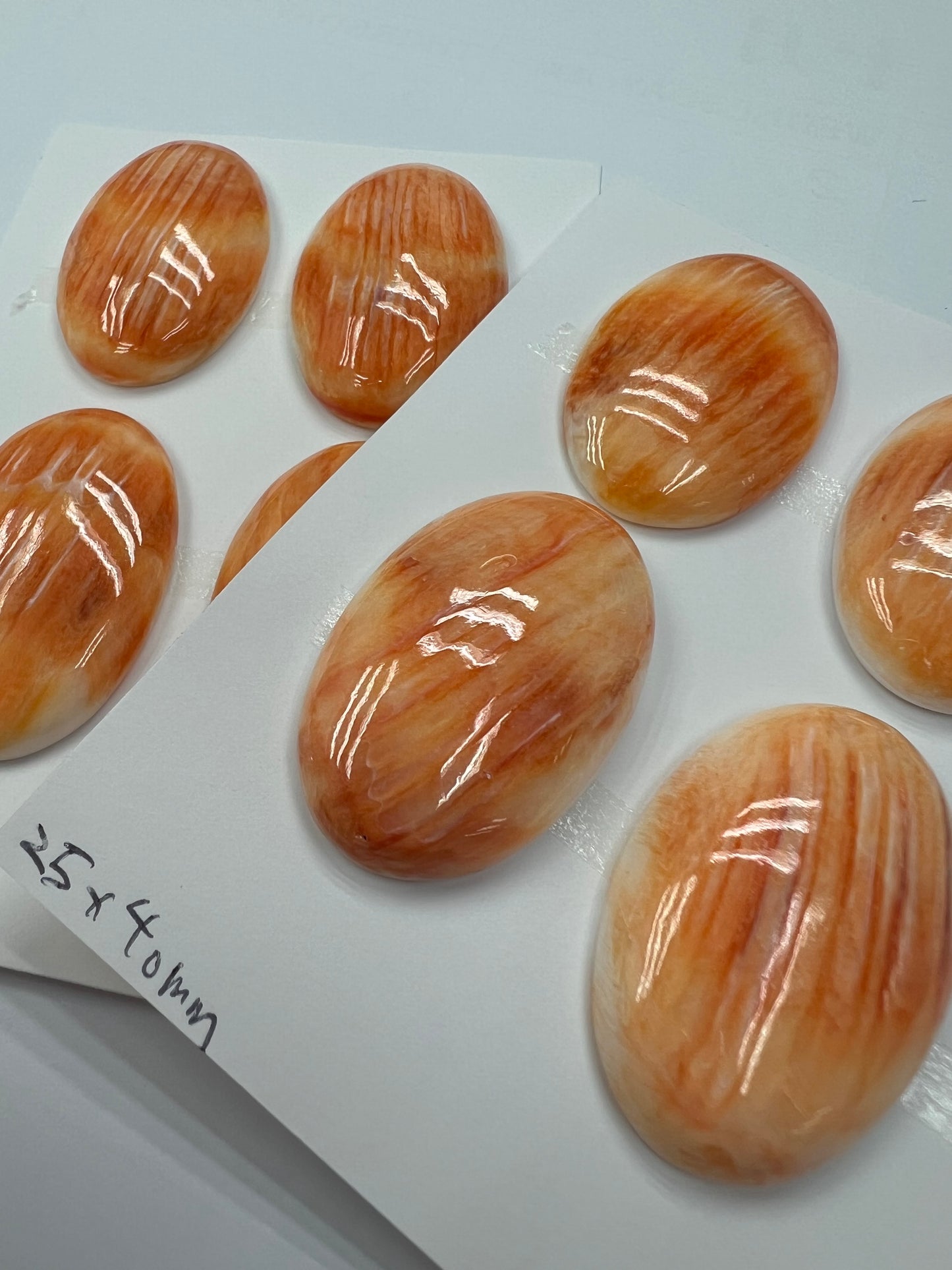 Orange Natural Spiny Oyster Shell Oval Cab 20x30mm ~ 30x40mm