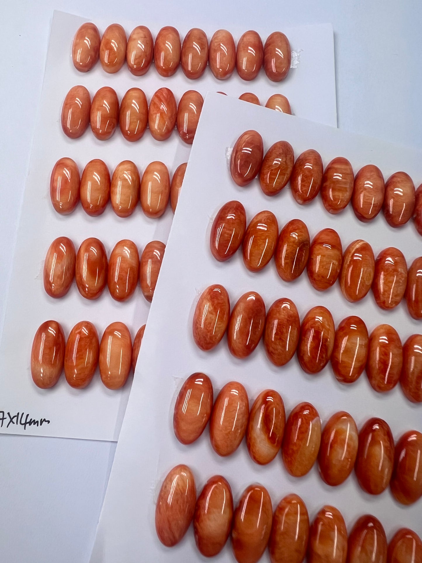 Orange Natural Spiny Oyster Shell Oval Cab 6x8mm ~ 7x14mm
