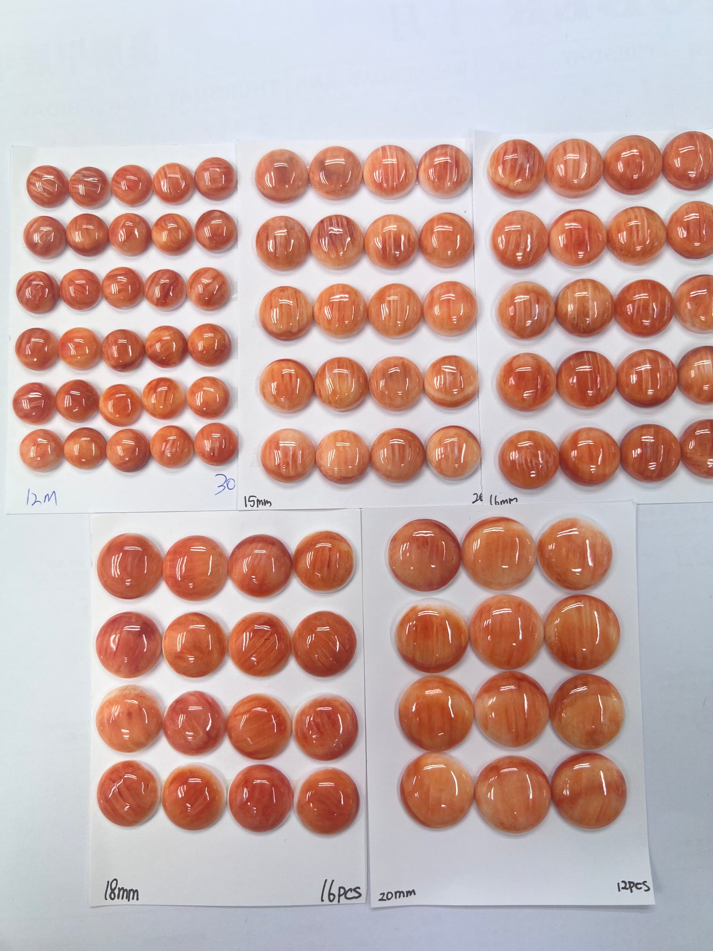 Orange Natural Spiny Oyster Shell Round Cab 12~18mm
