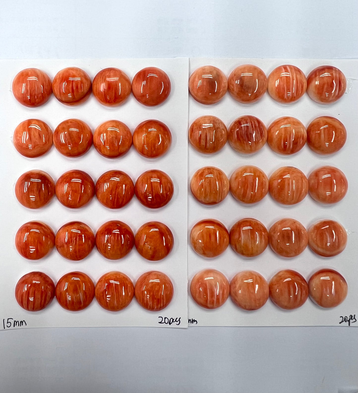 Orange Natural Spiny Oyster Shell Round Cab 12~18mm