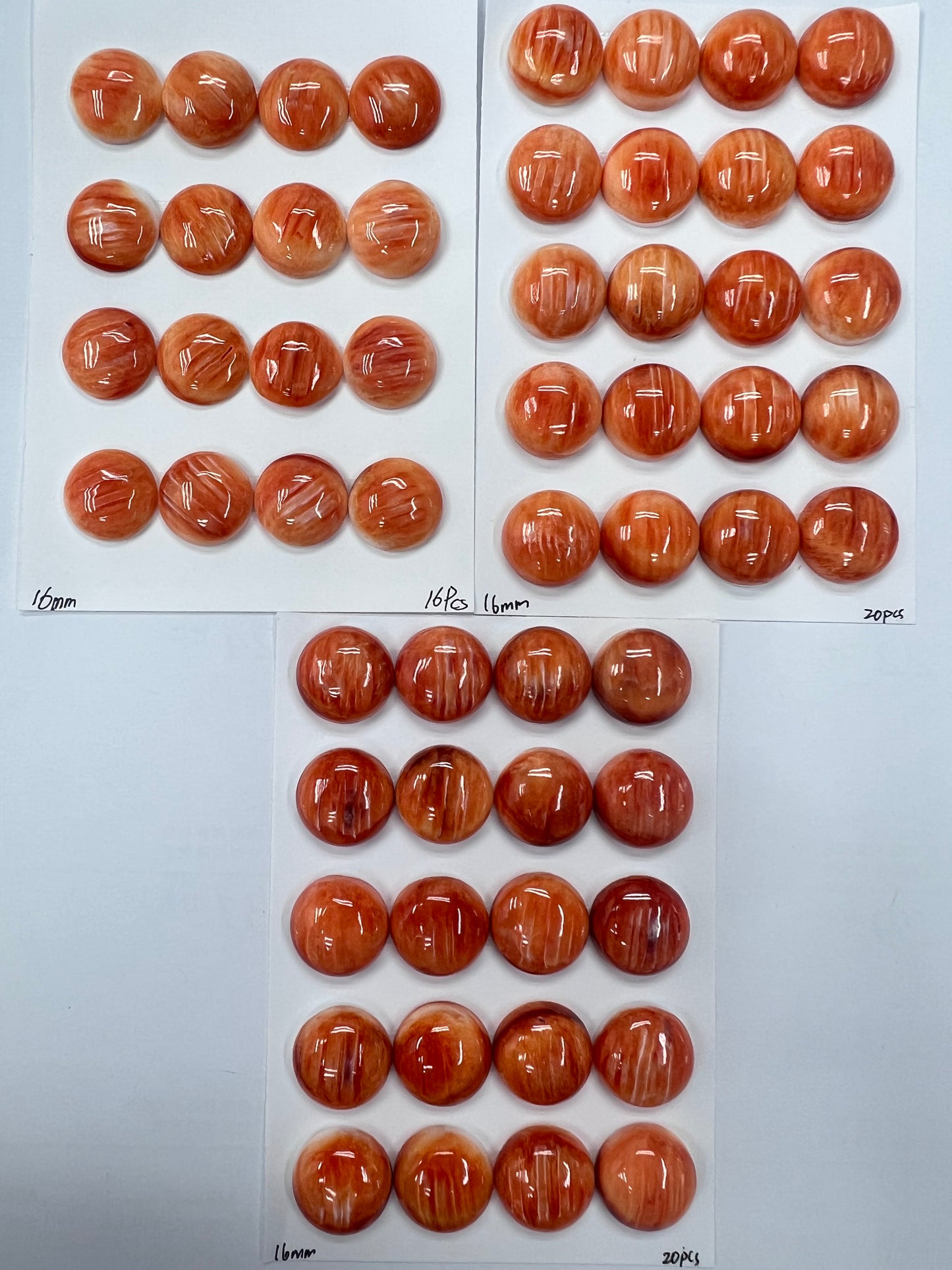 Orange Natural Spiny Oyster Shell Round Cab 12~18mm