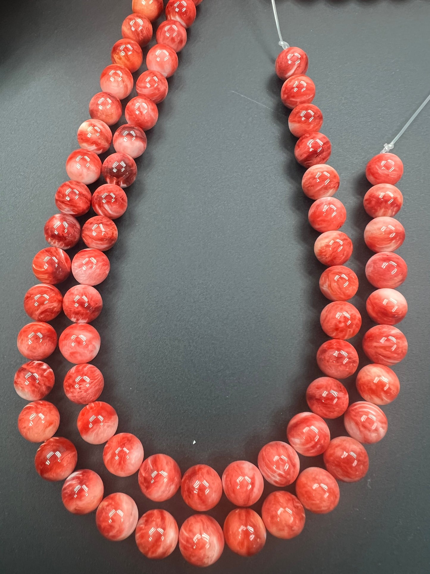 Spiny Oyster Shell Round Beads 11mm Orange/Red