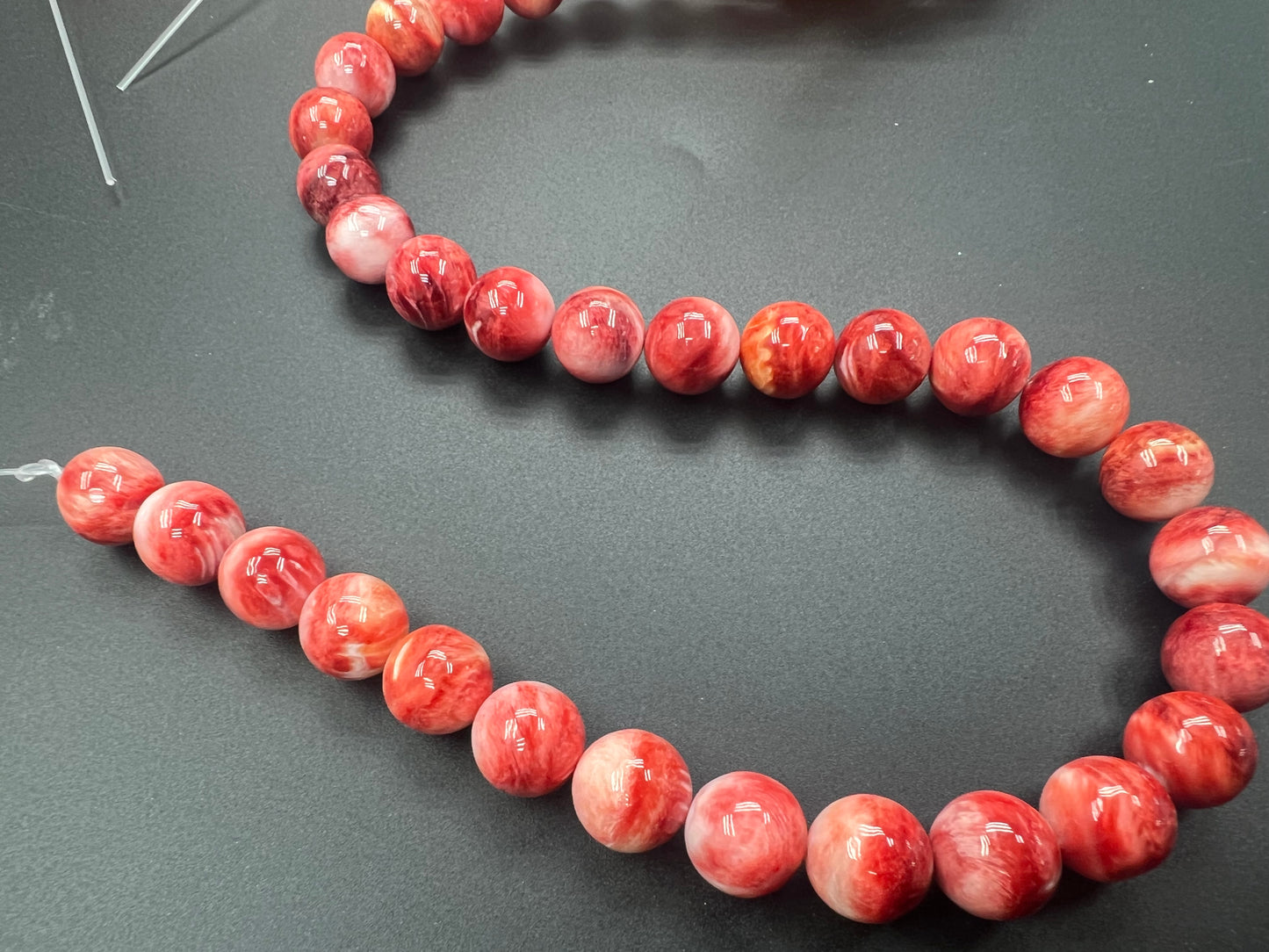 Spiny Oyster Shell Round Beads 12mm Orange/Red