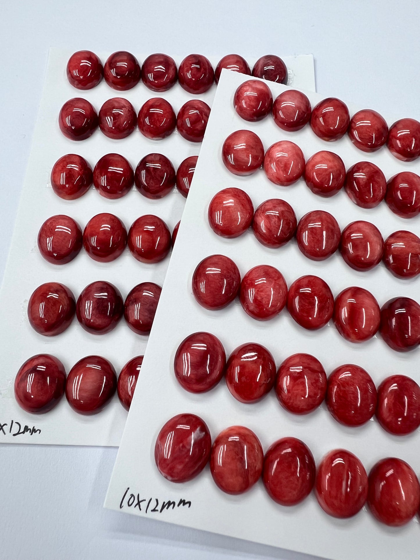 Red Natural Spiny Oyster Shell Oval Cab 10x12mm ~ 10x20mm