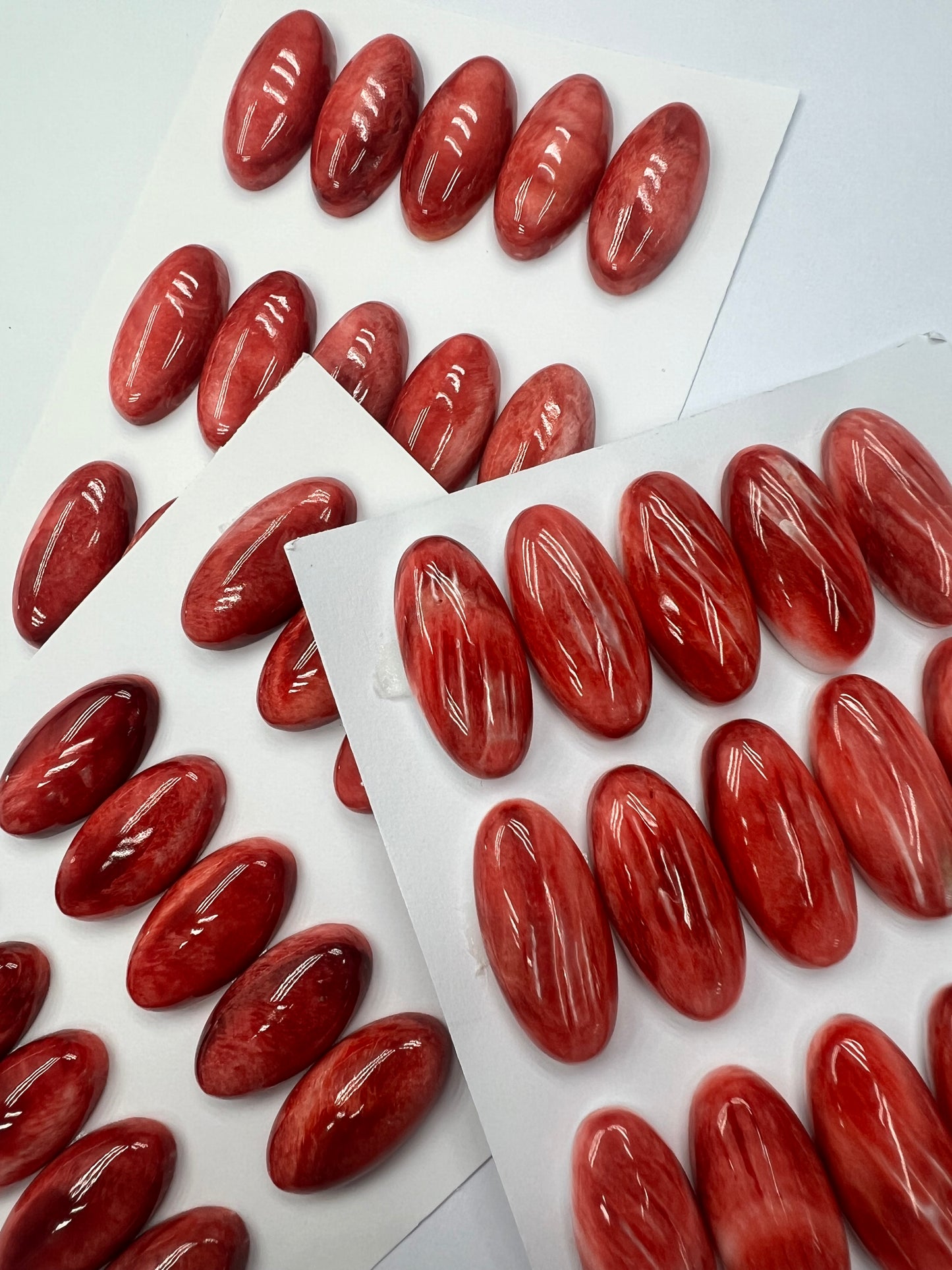 Red Natural Spiny Oyster Shell Oval Cab 12x16mm ~ 13x18mm