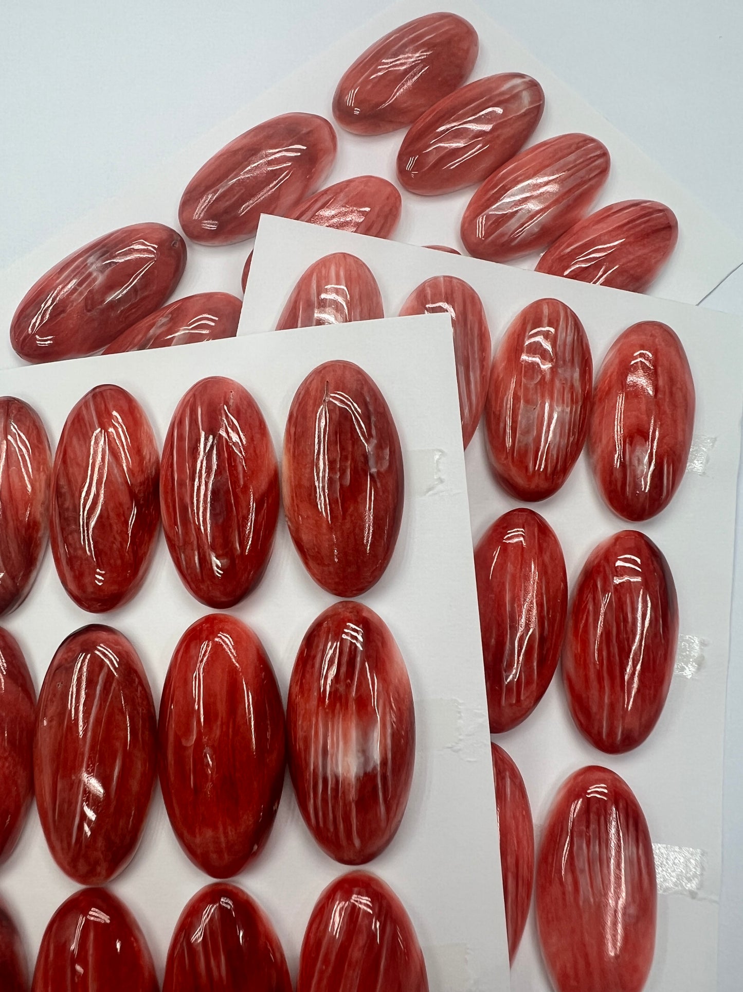 Red Natural Spiny Oyster Shell Oval Cab 15x20mm ~18x25mm
