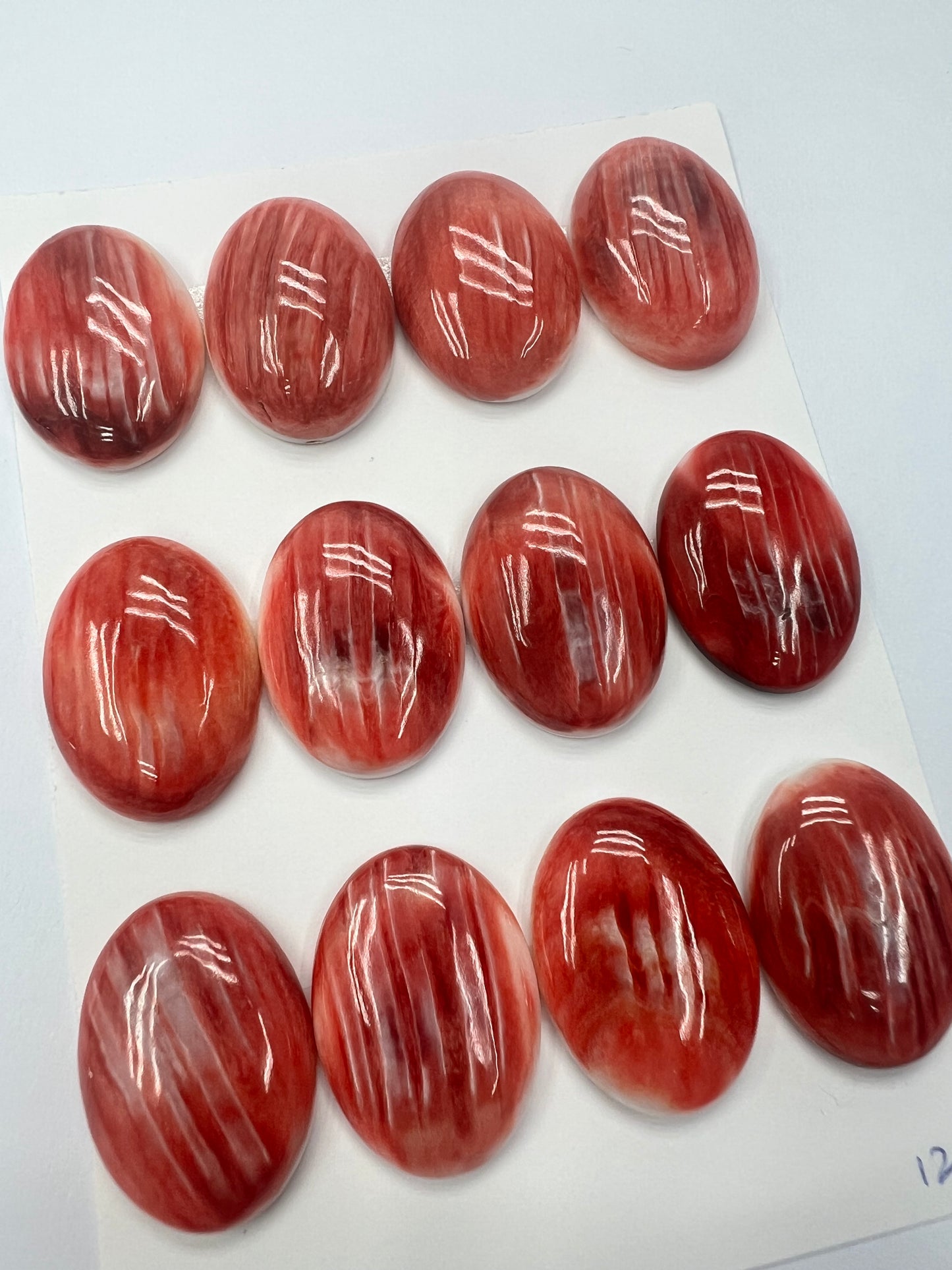 Red Natural Spiny Oyster Shell Oval Cab 15x20mm ~18x25mm