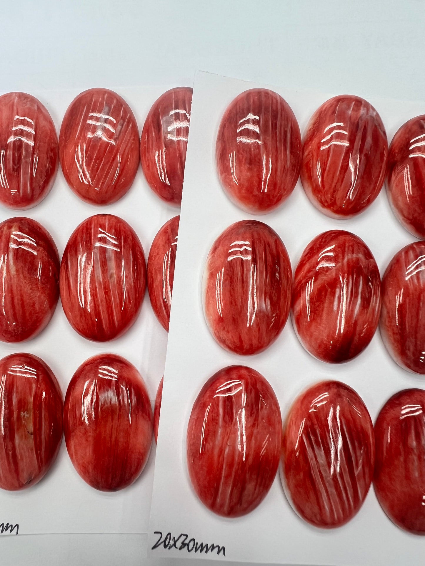 Red Natural Spiny Oyster Shell Oval Cab 20x30mm ~ 30x40mm