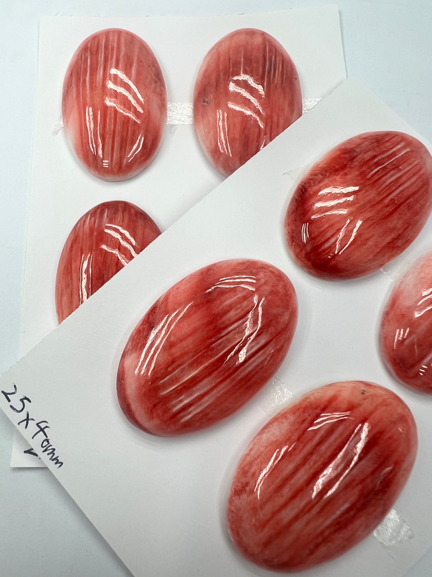Red Natural Spiny Oyster Shell Oval Cab 20x30mm ~ 30x40mm