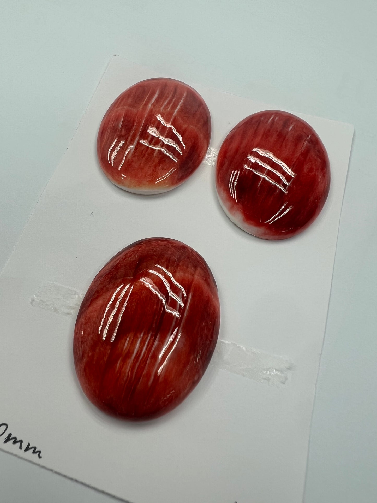 Red Natural Spiny Oyster Shell Oval Cab 20x30mm ~ 30x40mm