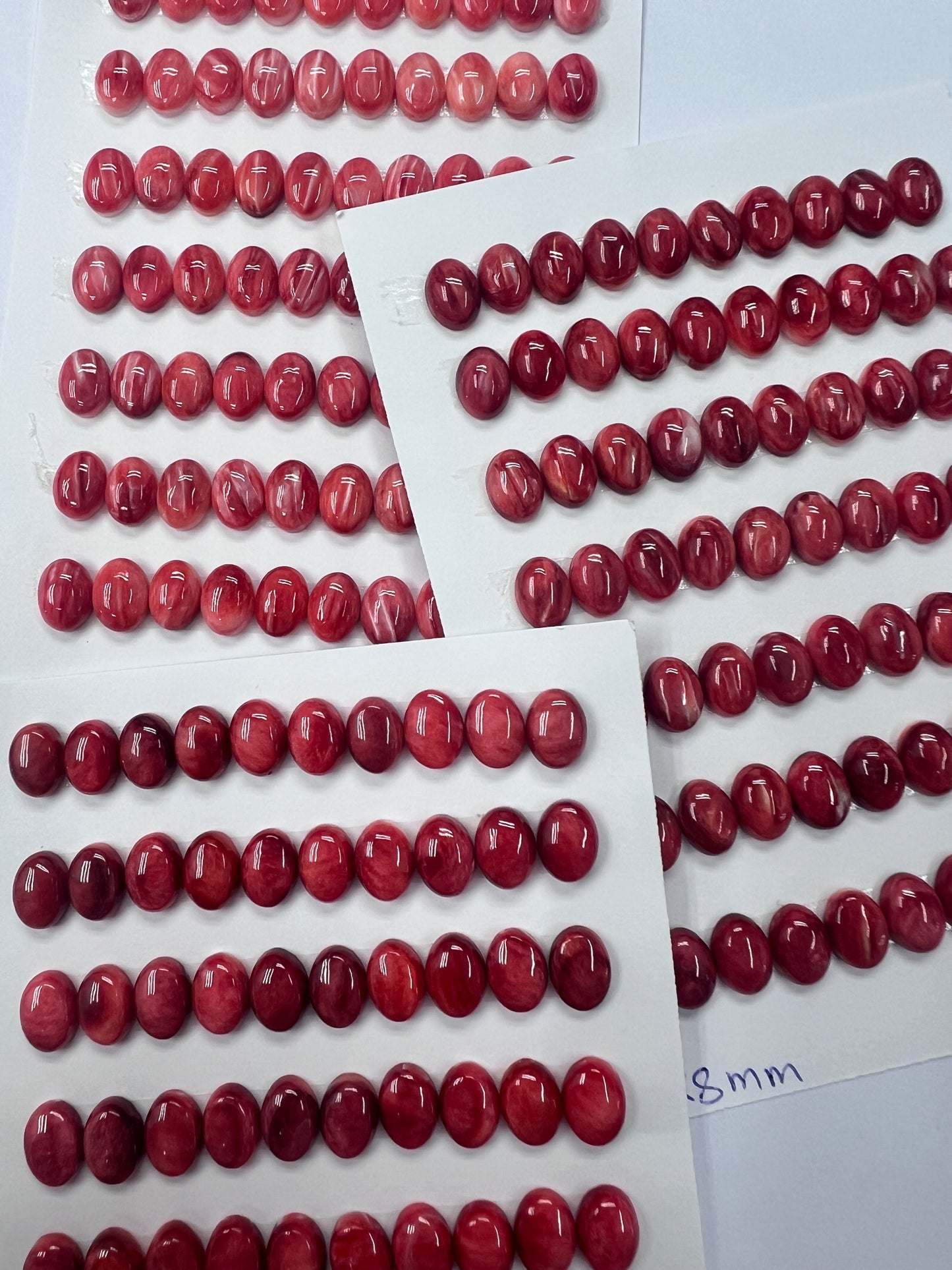Red Natural Spiny Oyster Shell Oval Cab 6x8mm ~ 7x14mm
