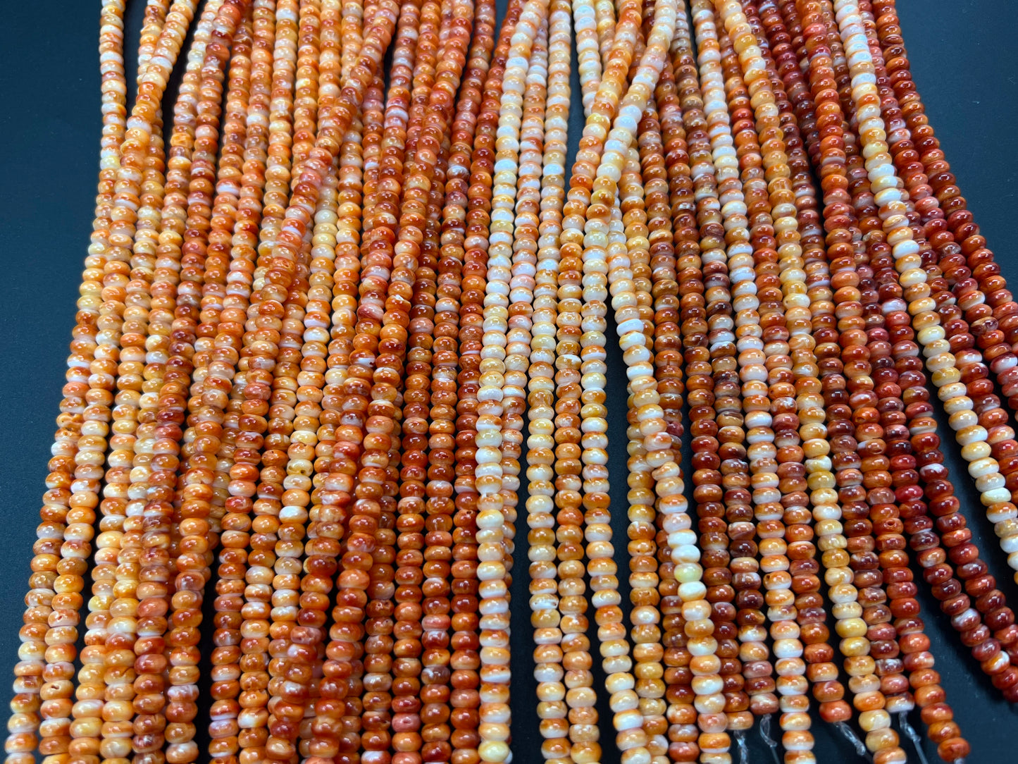 Spiny Oyster Roundelle Beads 5mm