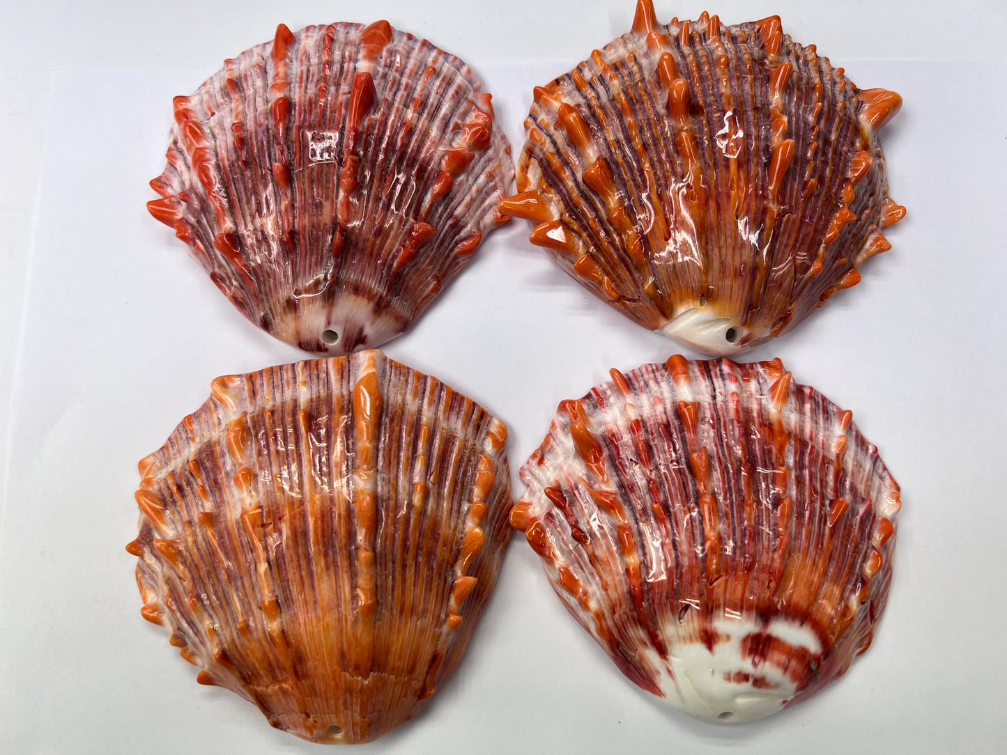 Natural Spiny Oyster Shell Druzy Shell Free Size Pendant (Orange/Red)