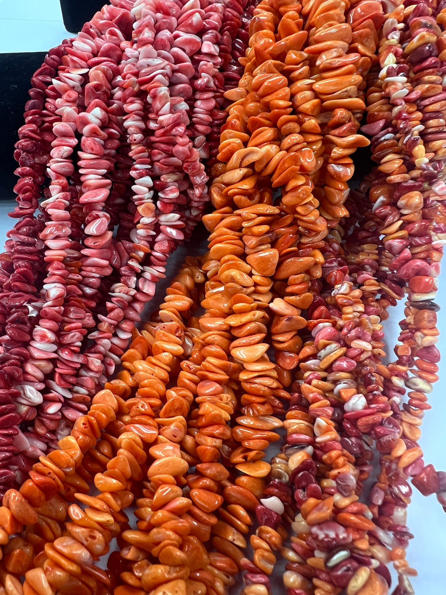 (Red/ Orange) Spiny Oyster Irregular Chips