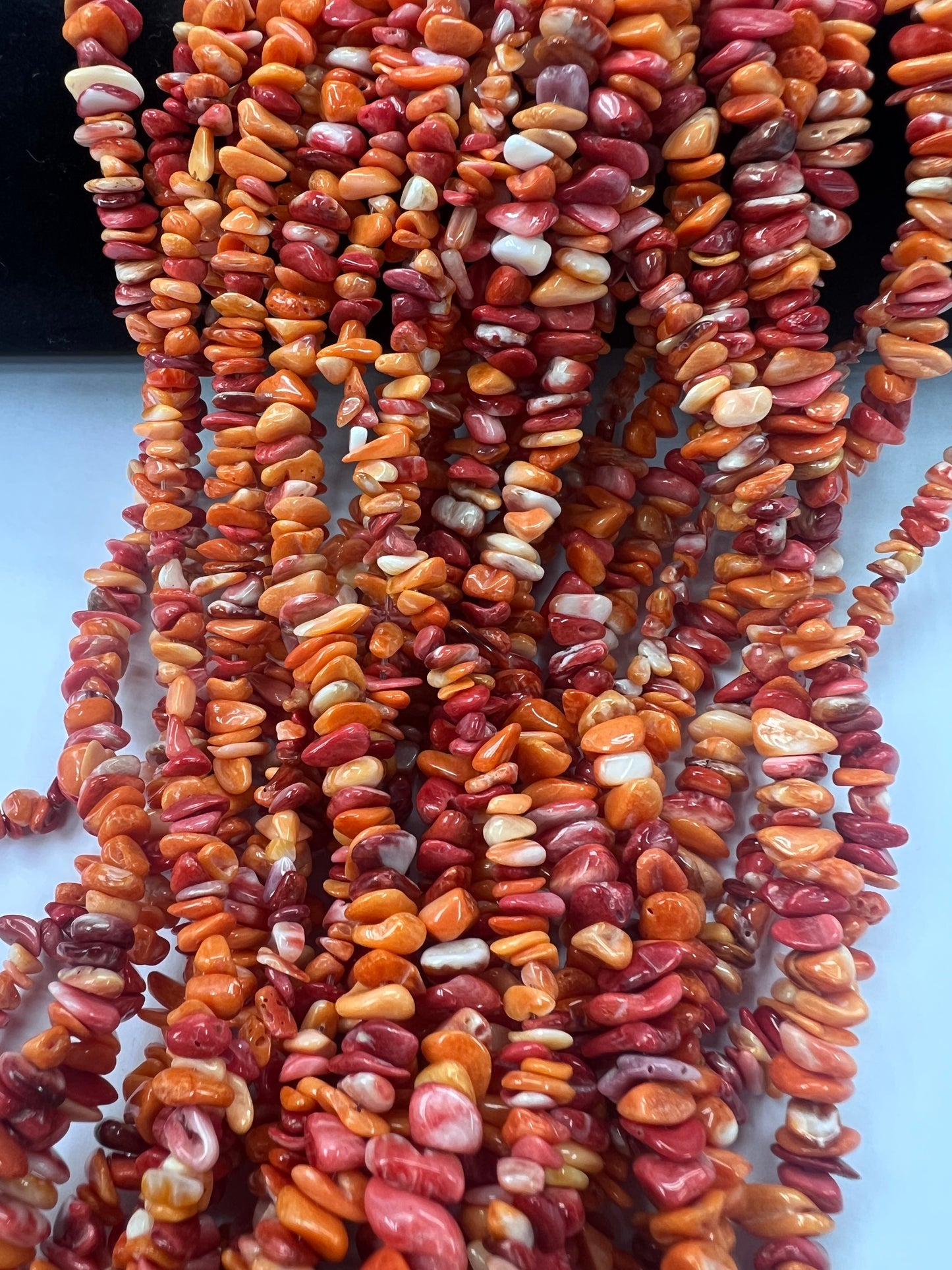 (Red/ Orange) Spiny Oyster Irregular Chips