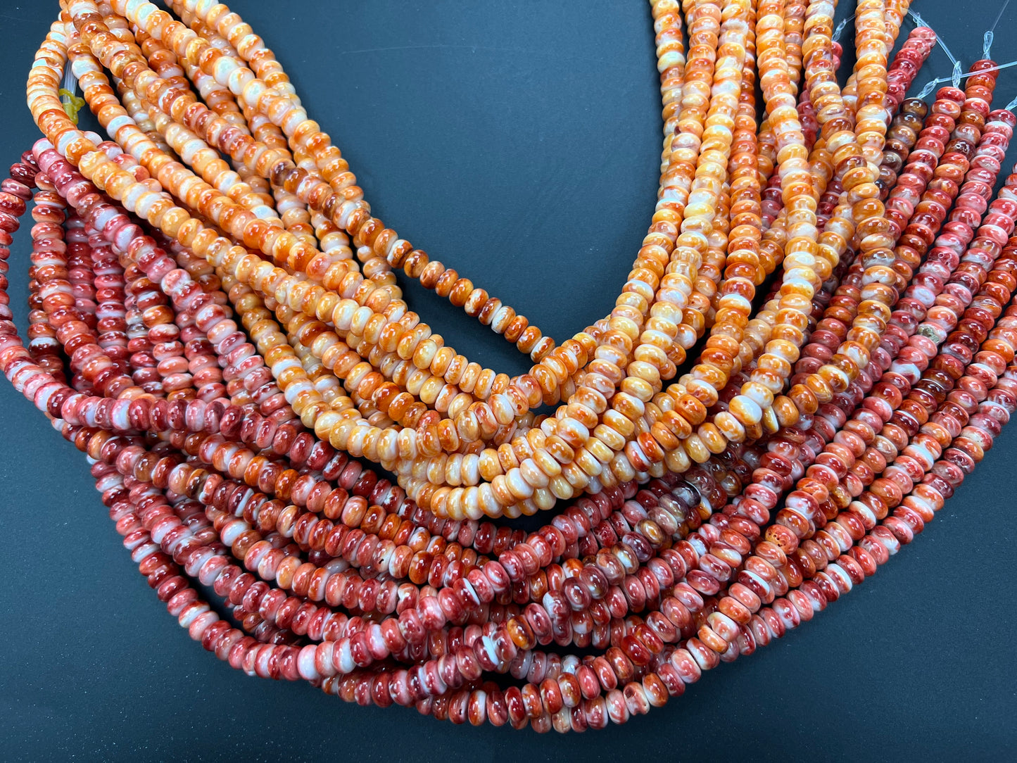 Spiny Oyster Roundelle Beads 8mm