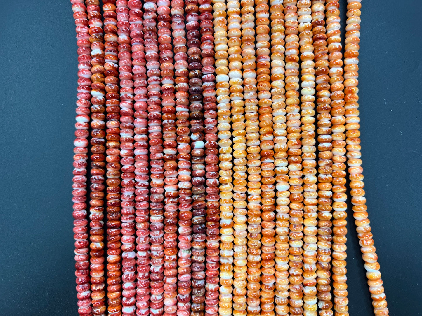 Spiny Oyster Roundelle Beads 8mm