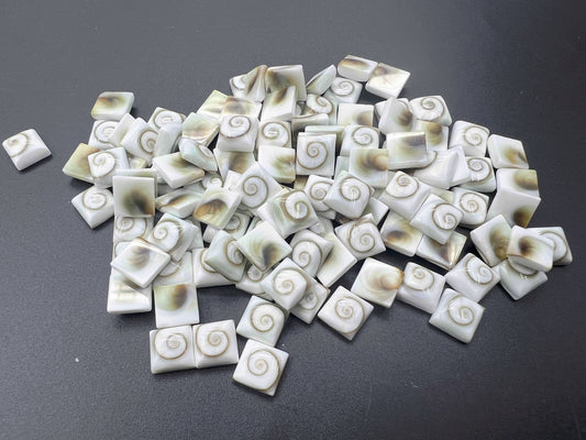 Shiva Eyes Shell Square Cab 8mm