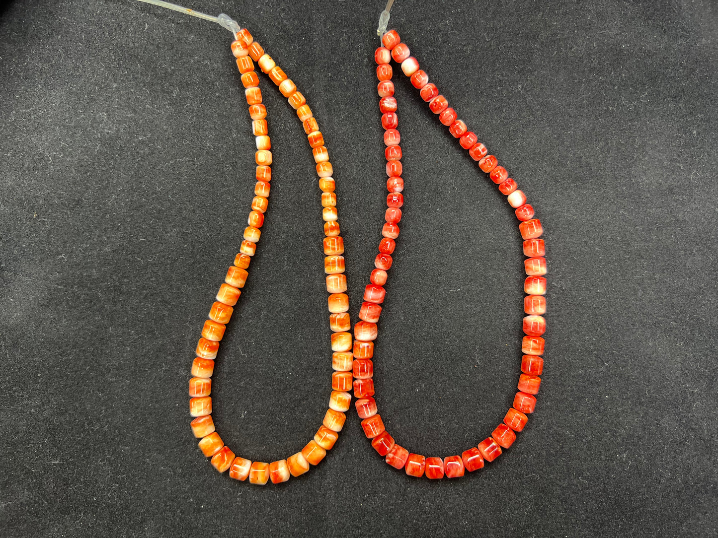 Spiny Oyster Barrel Beads Graduated 16"