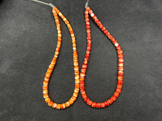 Spiny Oyster Barrel Beads Graduated 16"