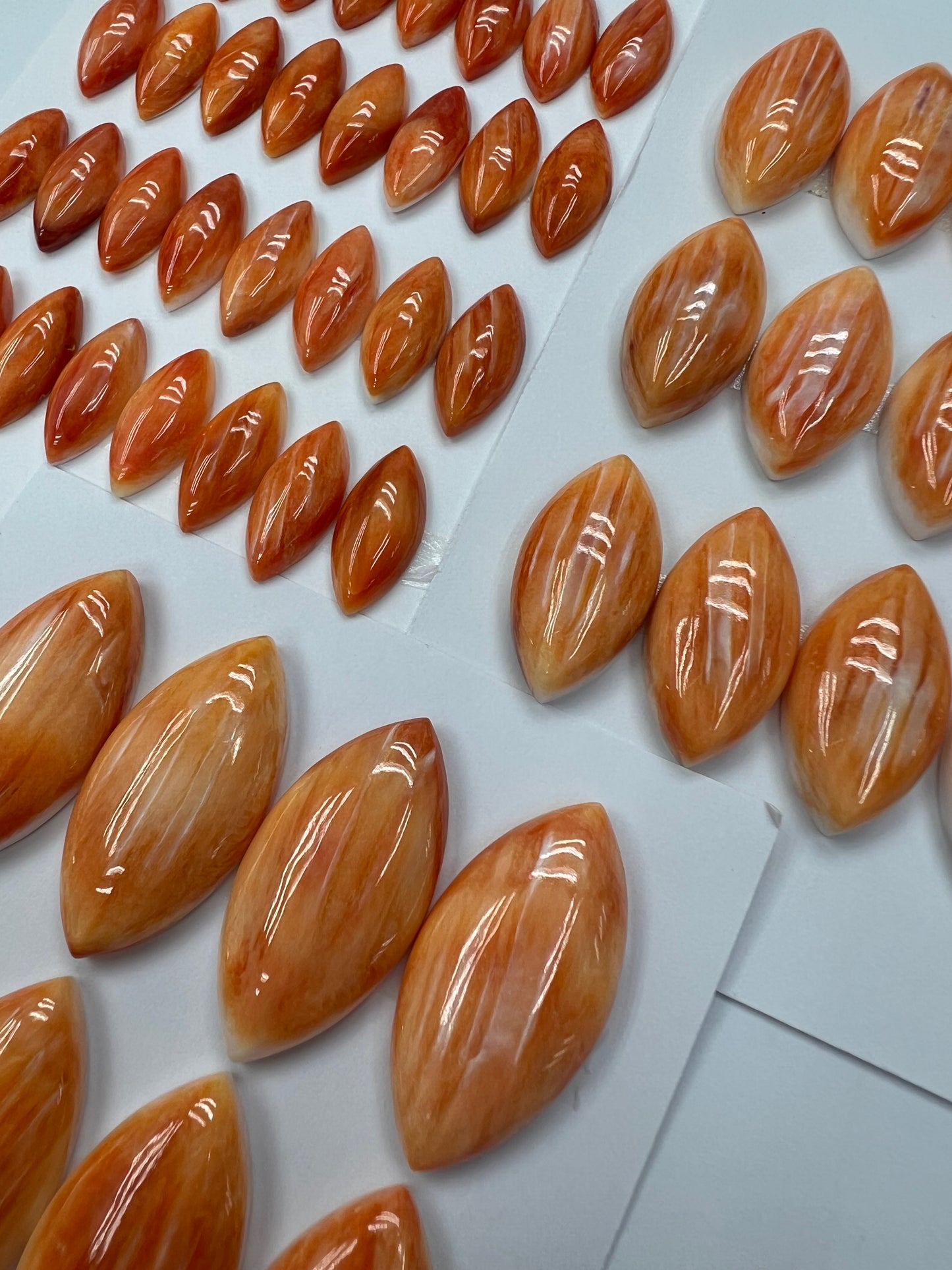 Orange Natural Spiny Oyster Shell Marquise Cab  8x18mm ~ 15x30mm