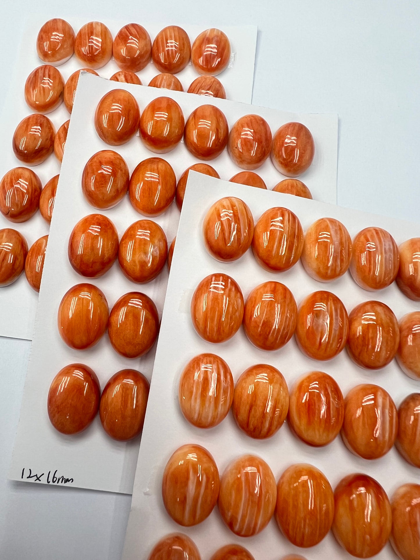Orange Natural Spiny Oyster Shell Oval Cab  12x16mm ~ 13x18mm
