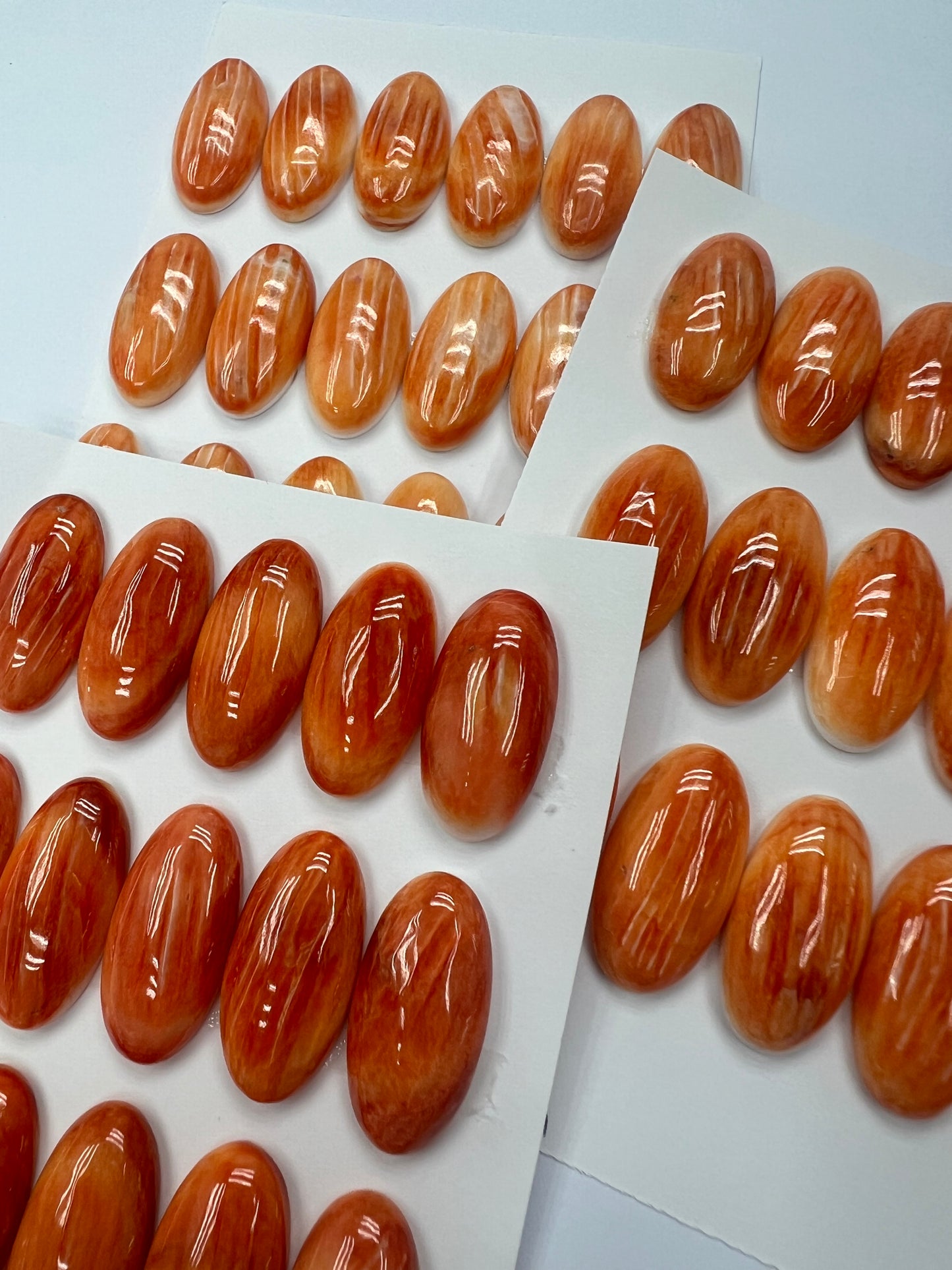 Orange Natural Spiny Oyster Shell Oval Cab  12x16mm ~ 13x18mm
