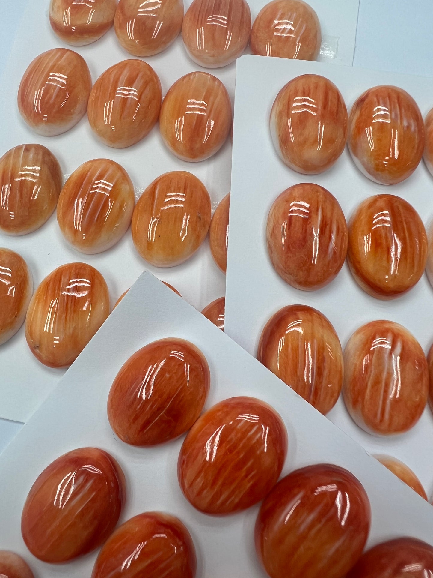 Orange Natural Spiny Oyster Shell Oval Cab  15x20mm ~18x25mm