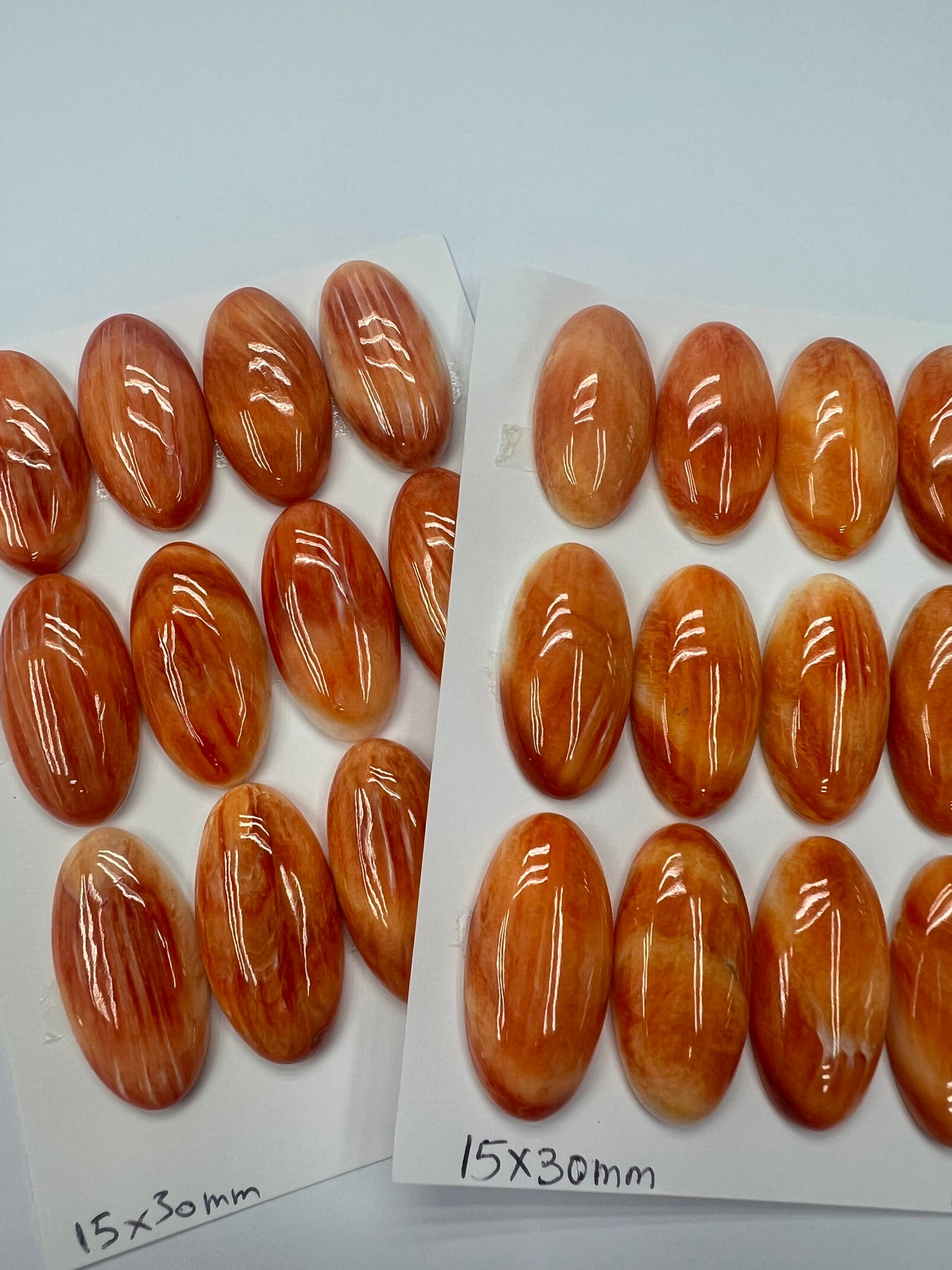 Orange Natural Spiny Oyster Shell Oval Cab  15x20mm ~18x25mm