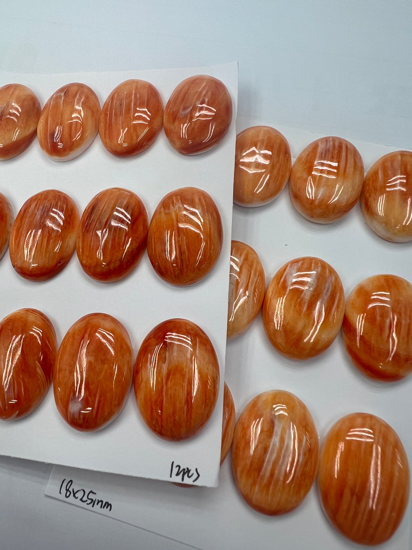 Orange Natural Spiny Oyster Shell Oval Cab  15x20mm ~18x25mm