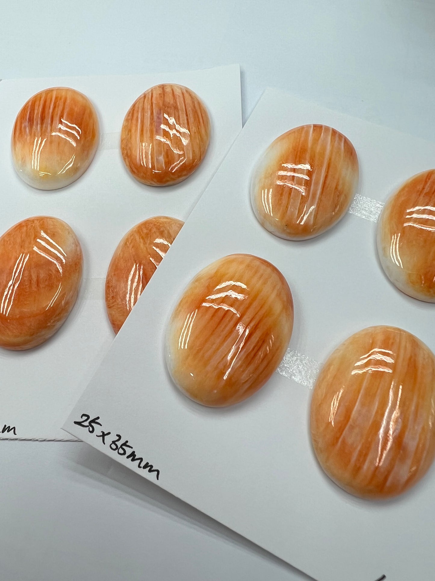 Orange Natural Spiny Oyster Shell Oval Cab  20x30mm ~ 30x40mm