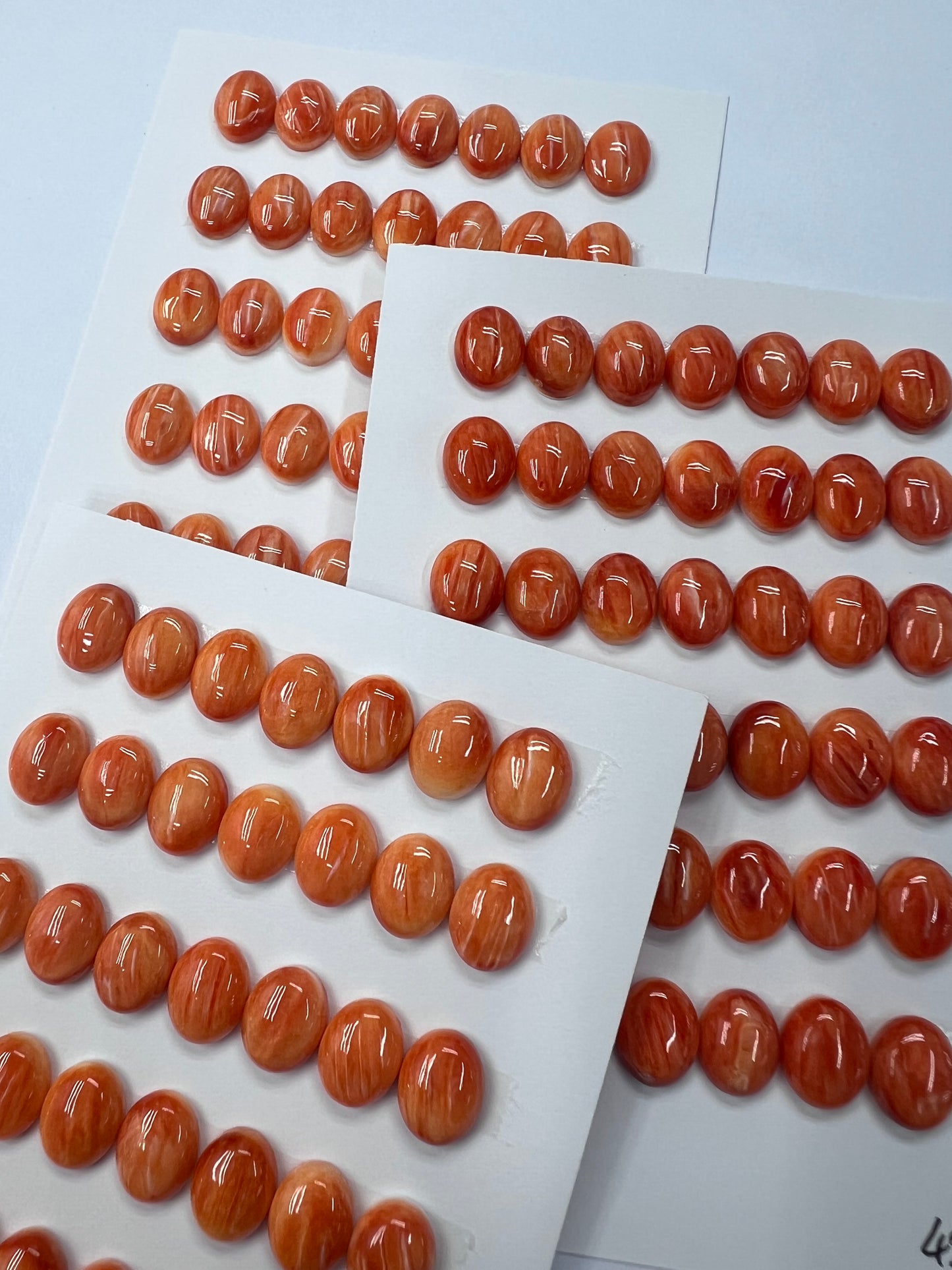 Orange Natural Spiny Oyster Shell Oval Cab  8x10mm ~ 8x16mm