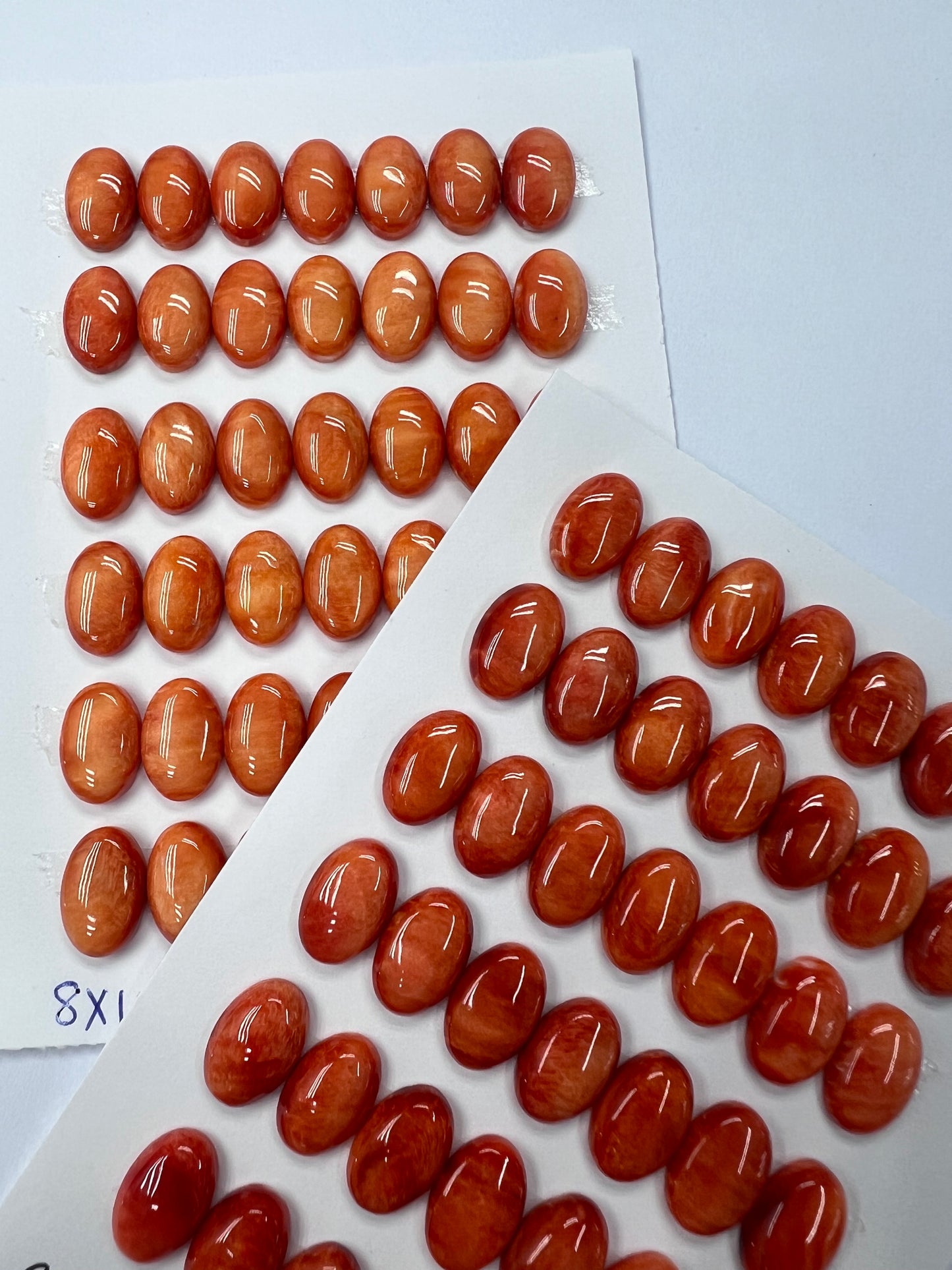 Orange Natural Spiny Oyster Shell Oval Cab  8x10mm ~ 8x16mm