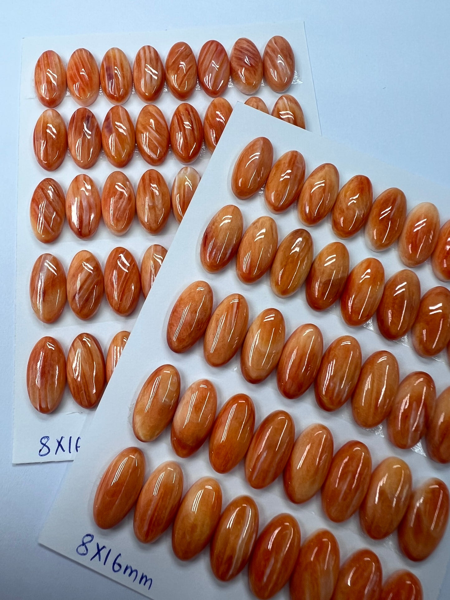 Orange Natural Spiny Oyster Shell Oval Cab  8x10mm ~ 8x16mm