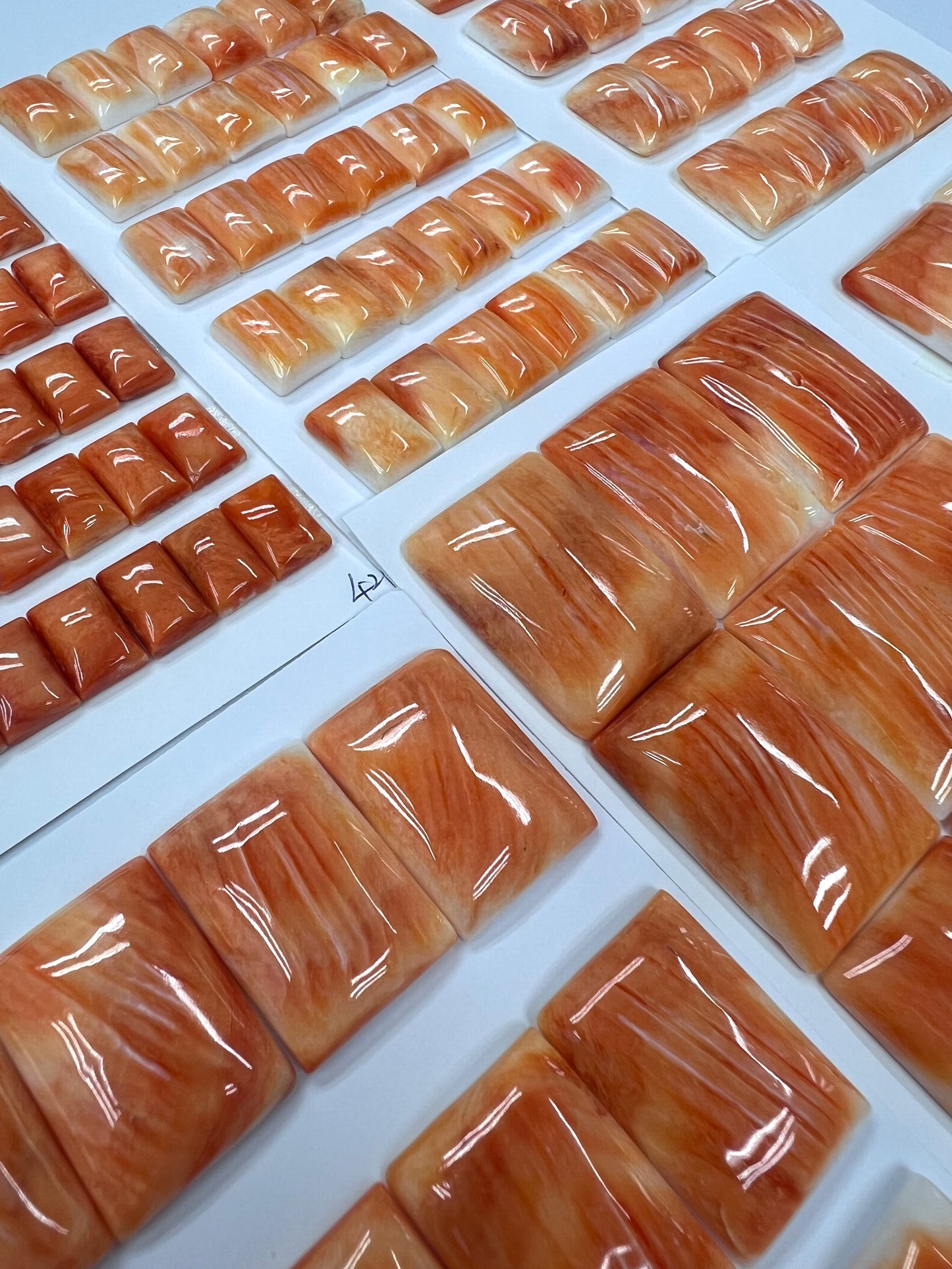 Orange Natural Spiny Oyster Shell Rectangle Cab 8x12~25x40mm